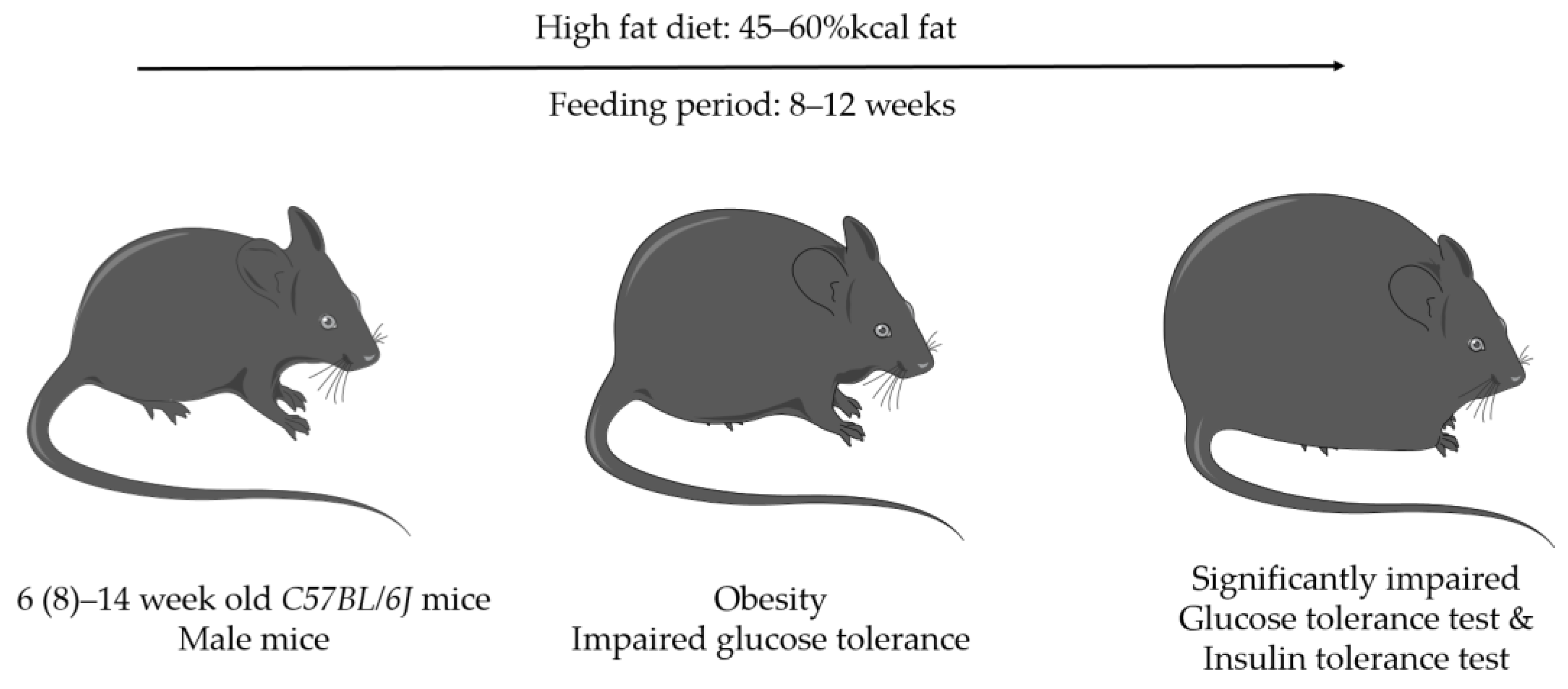 Biomedicines 11 03302 g005