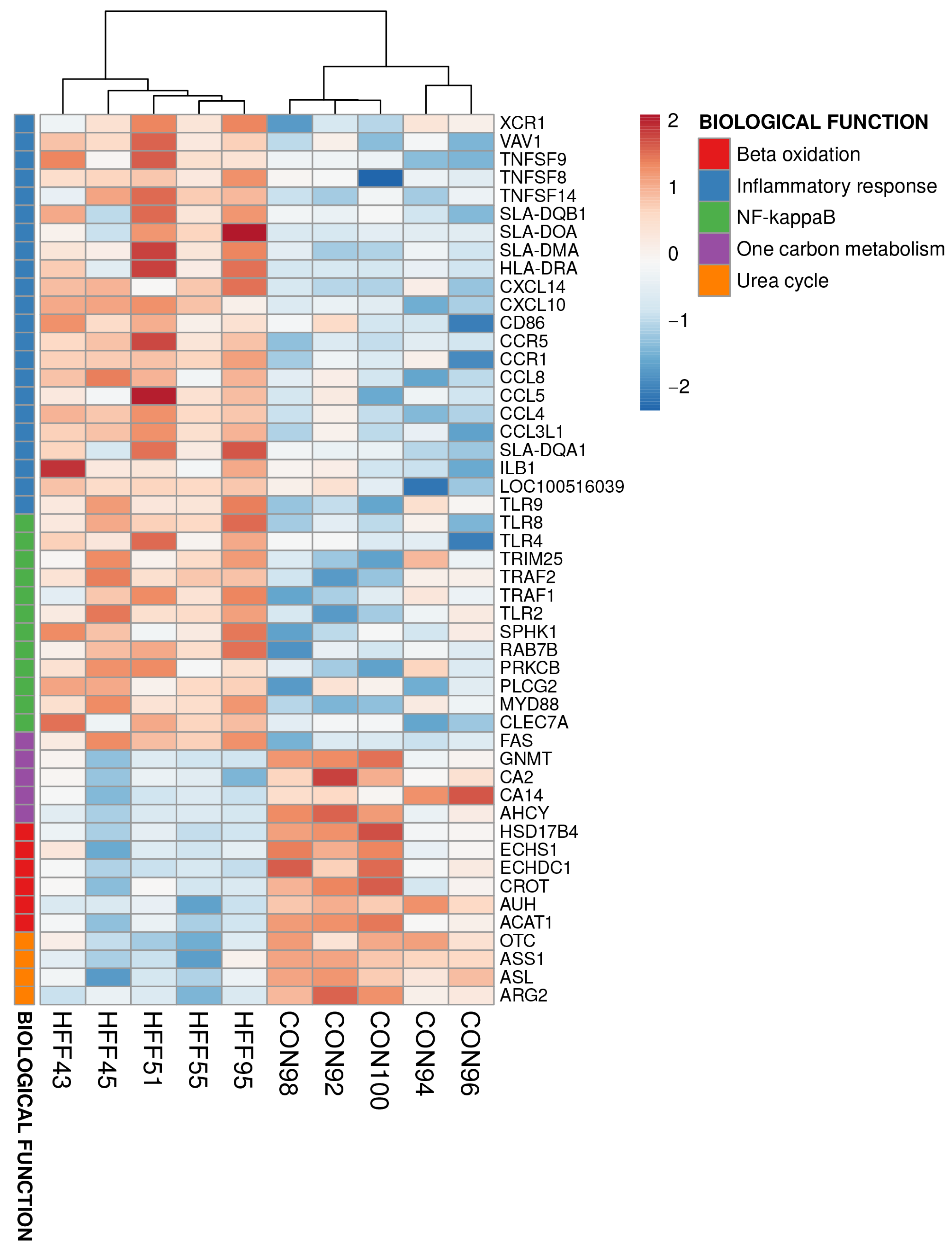 Biomedicines 11 03303 g004