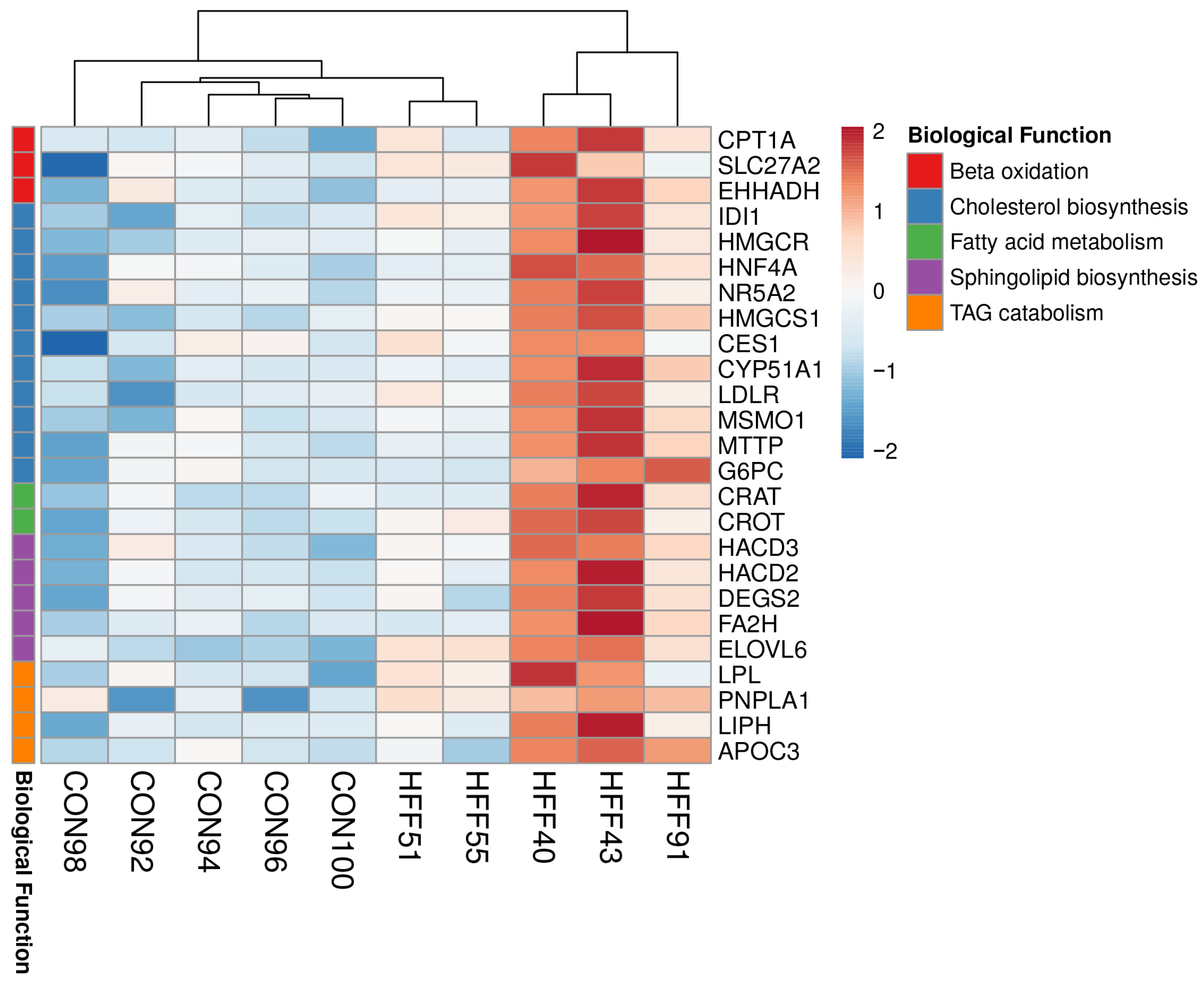 Biomedicines 11 03303 g005