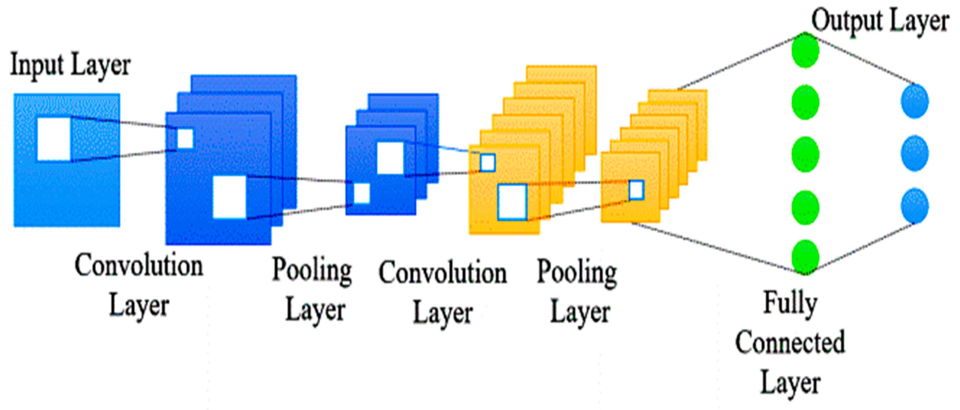 Biomedicines 11 03304 g003