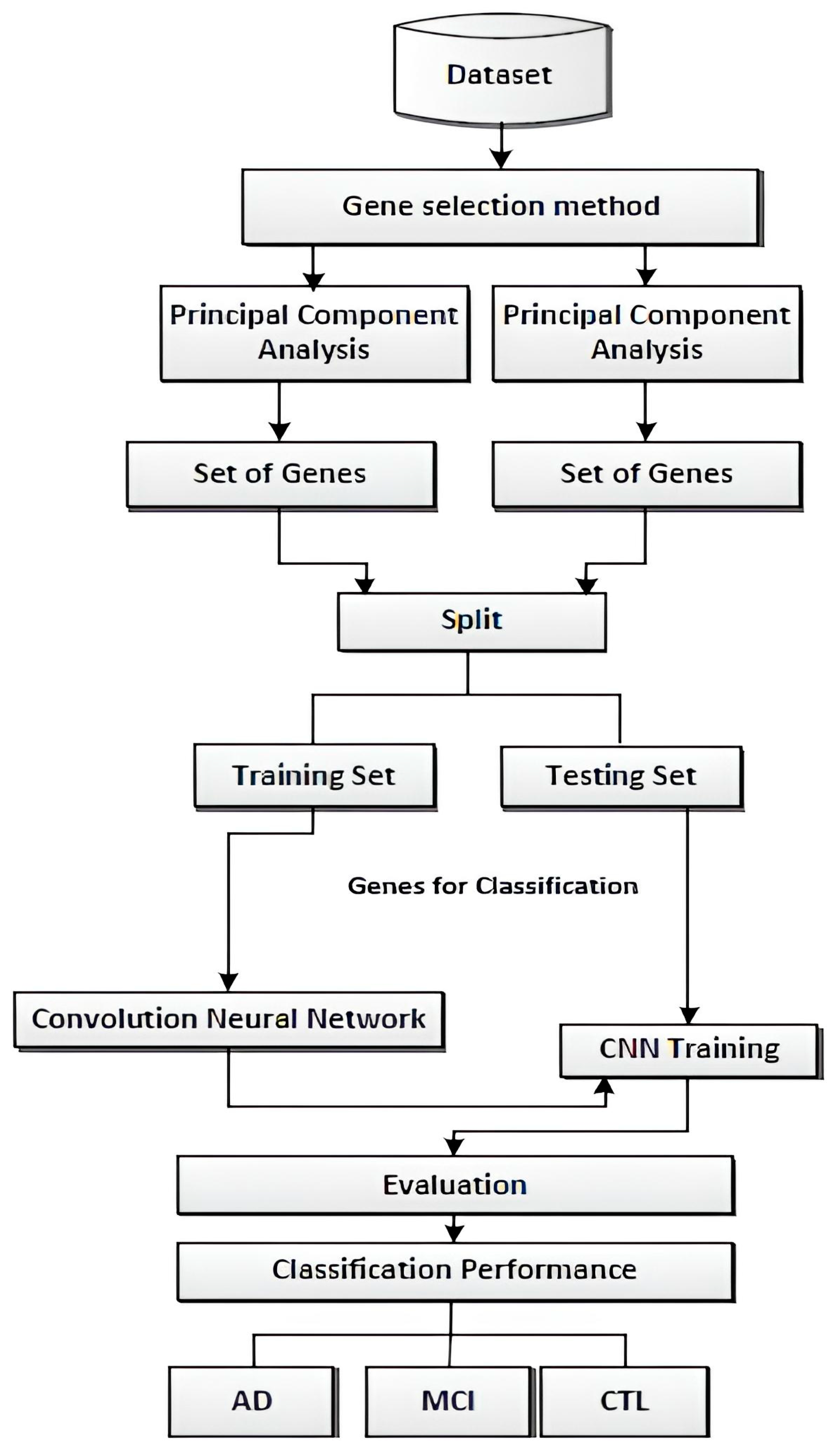 Biomedicines 11 03304 g004