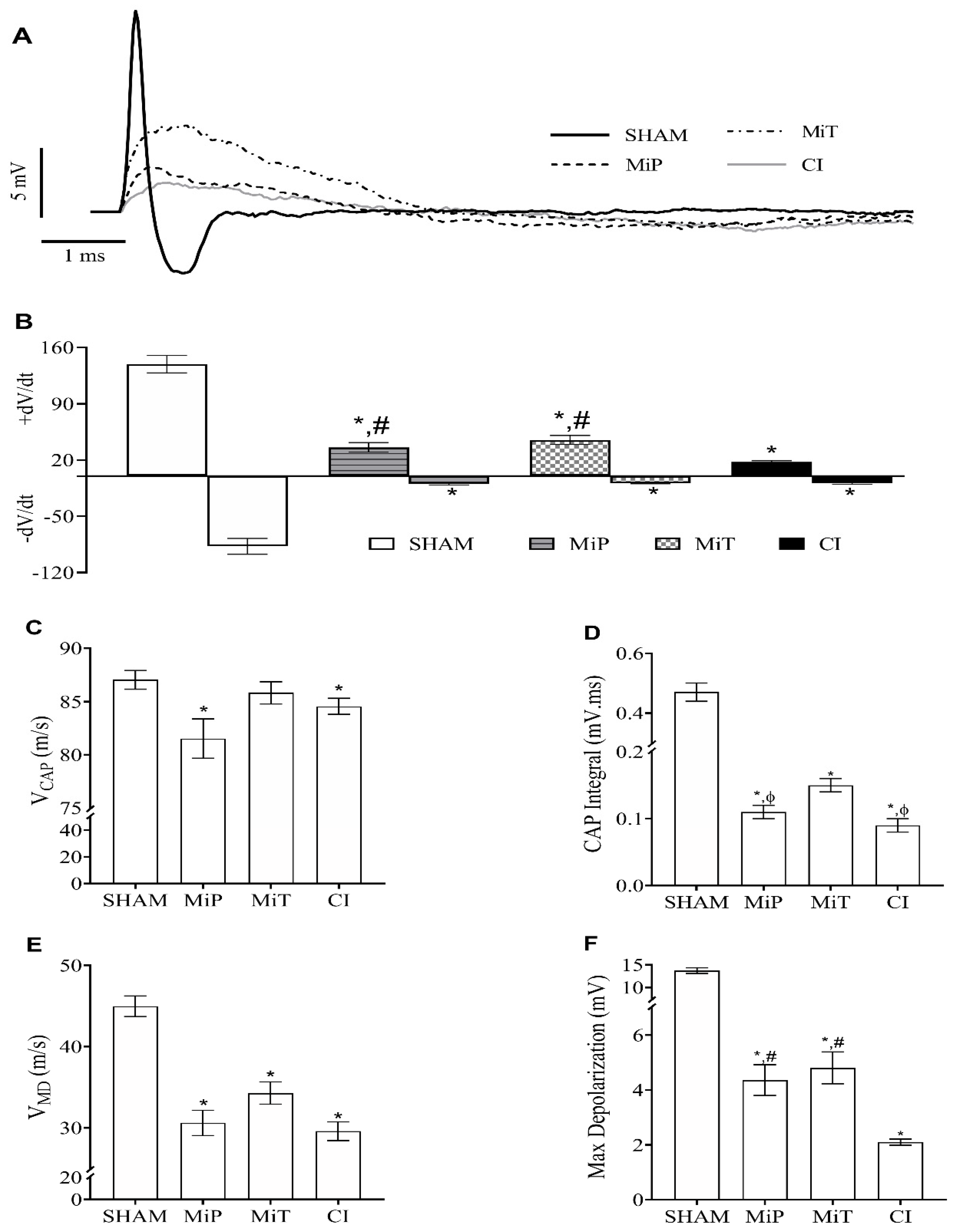 Biomedicines 11 03306 g003