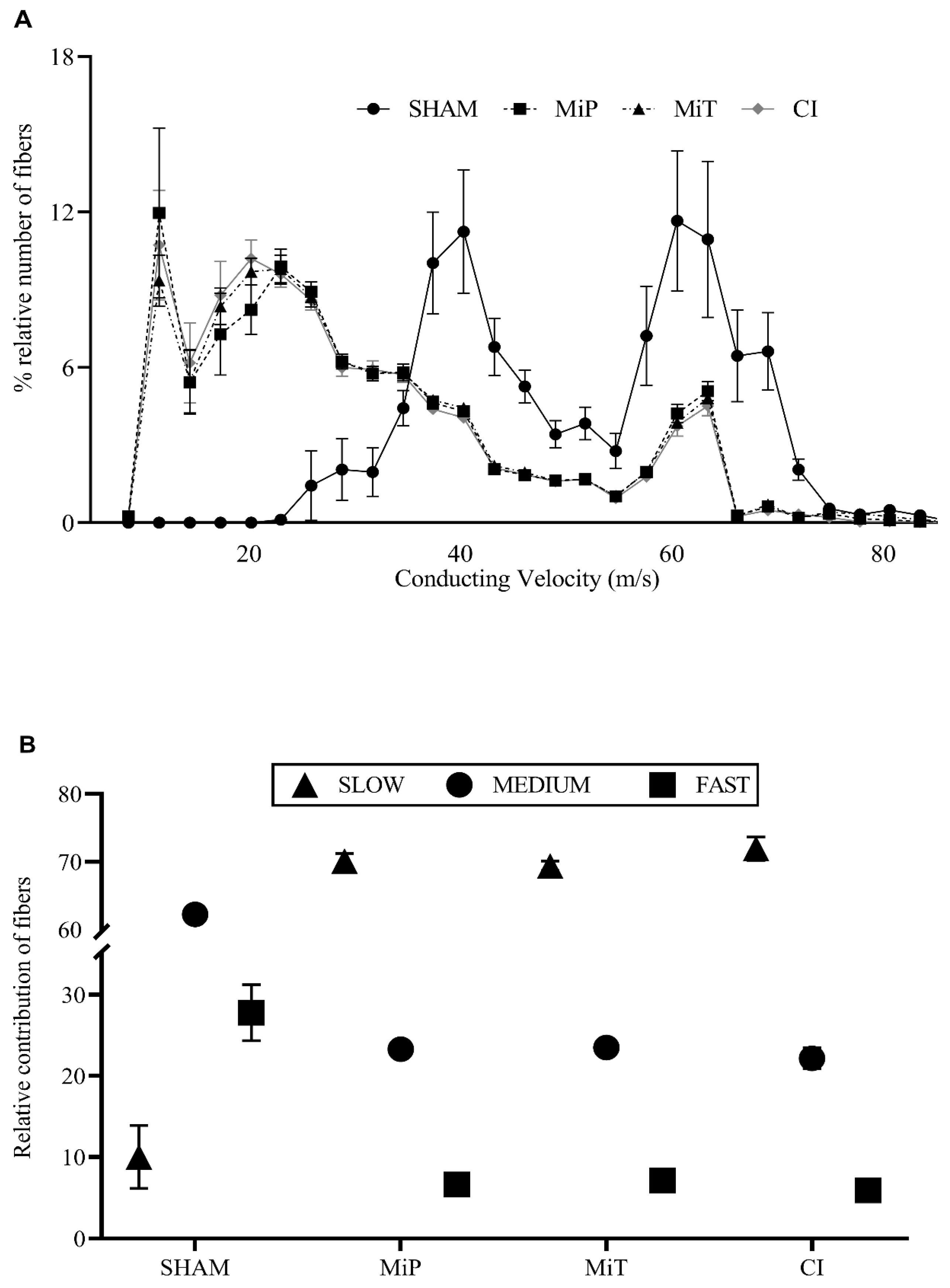 Biomedicines 11 03306 g004