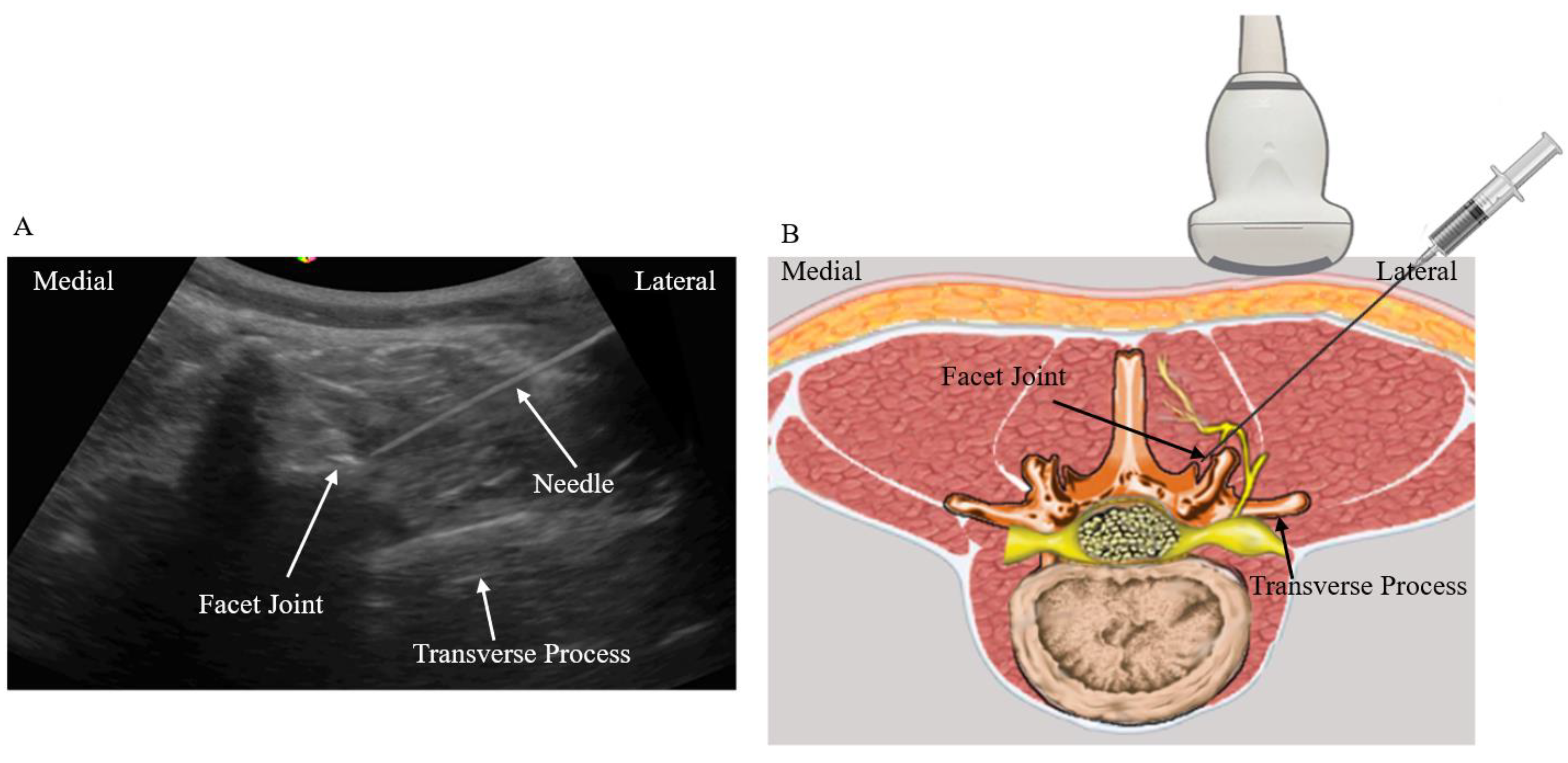 Biomedicines 11 03308 g002