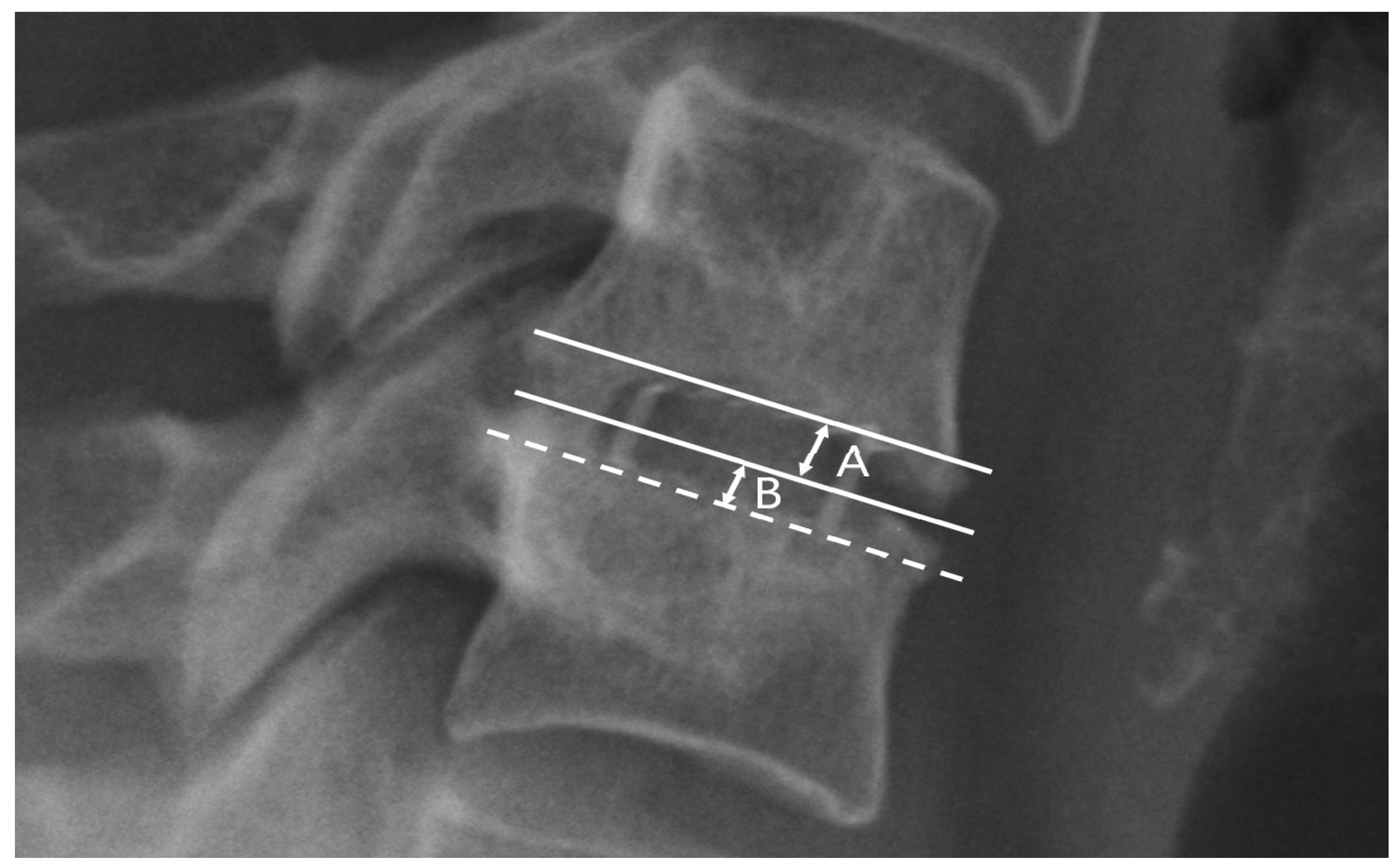 Biomedicines 11 03310 g003