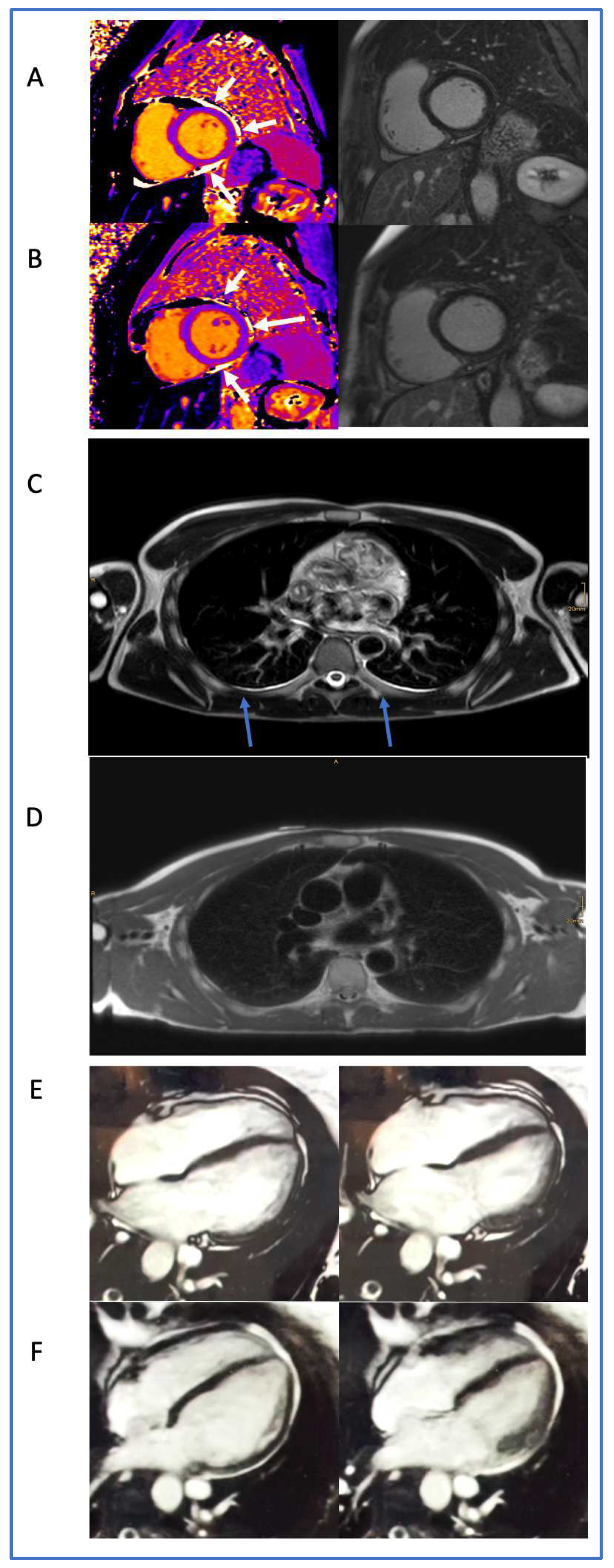 Biomedicines 11 03312 g005