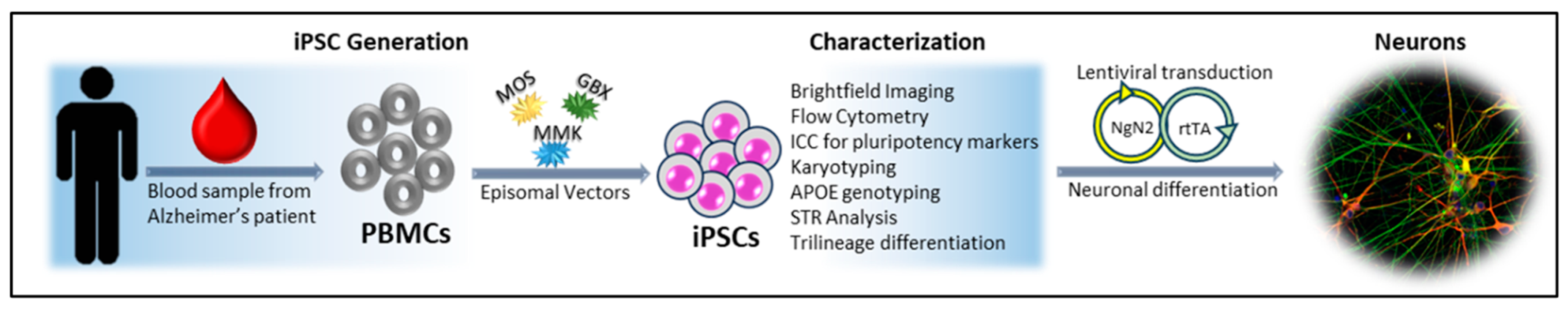 Biomedicines 11 03313 g001