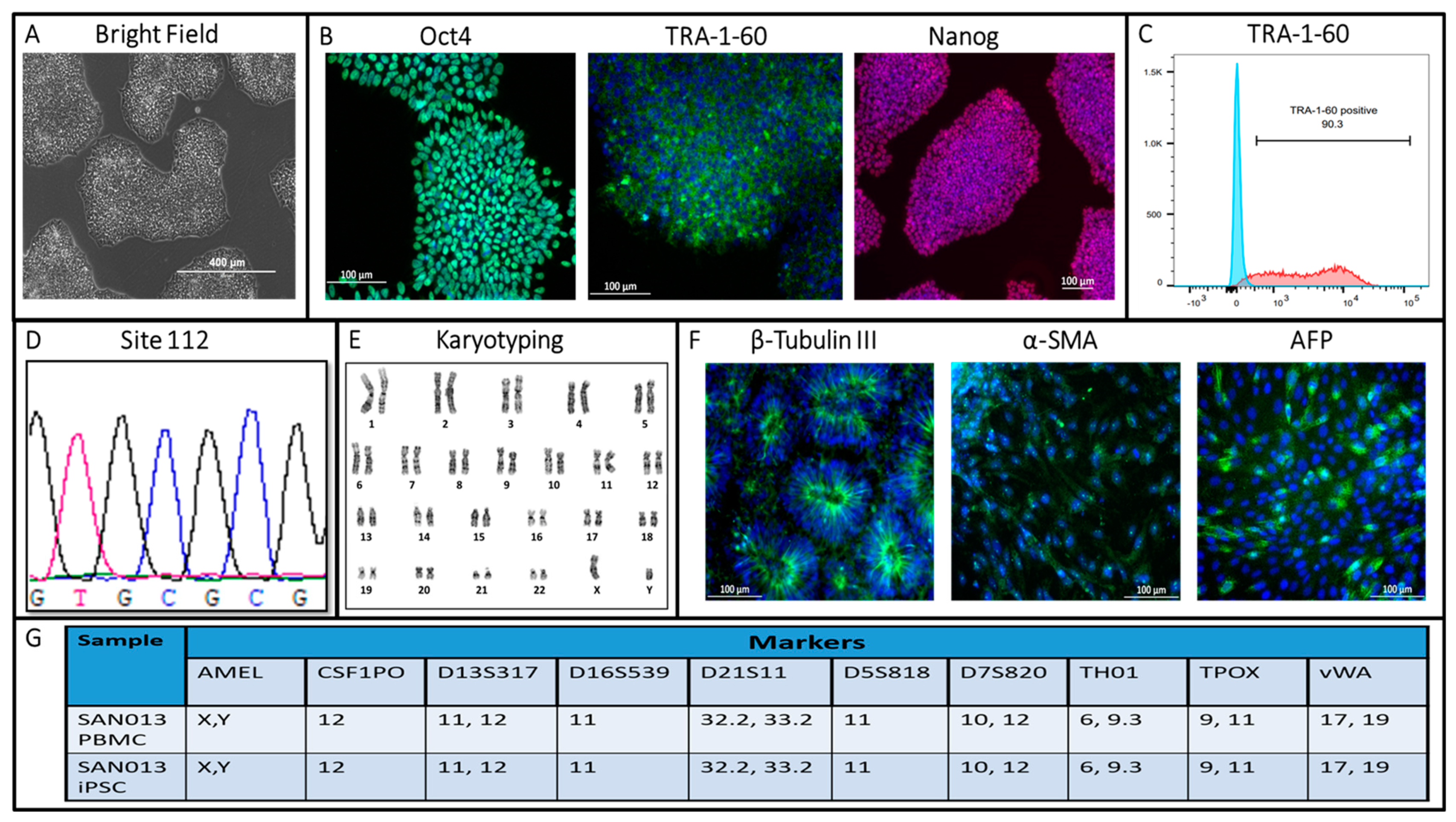 Biomedicines 11 03313 g002