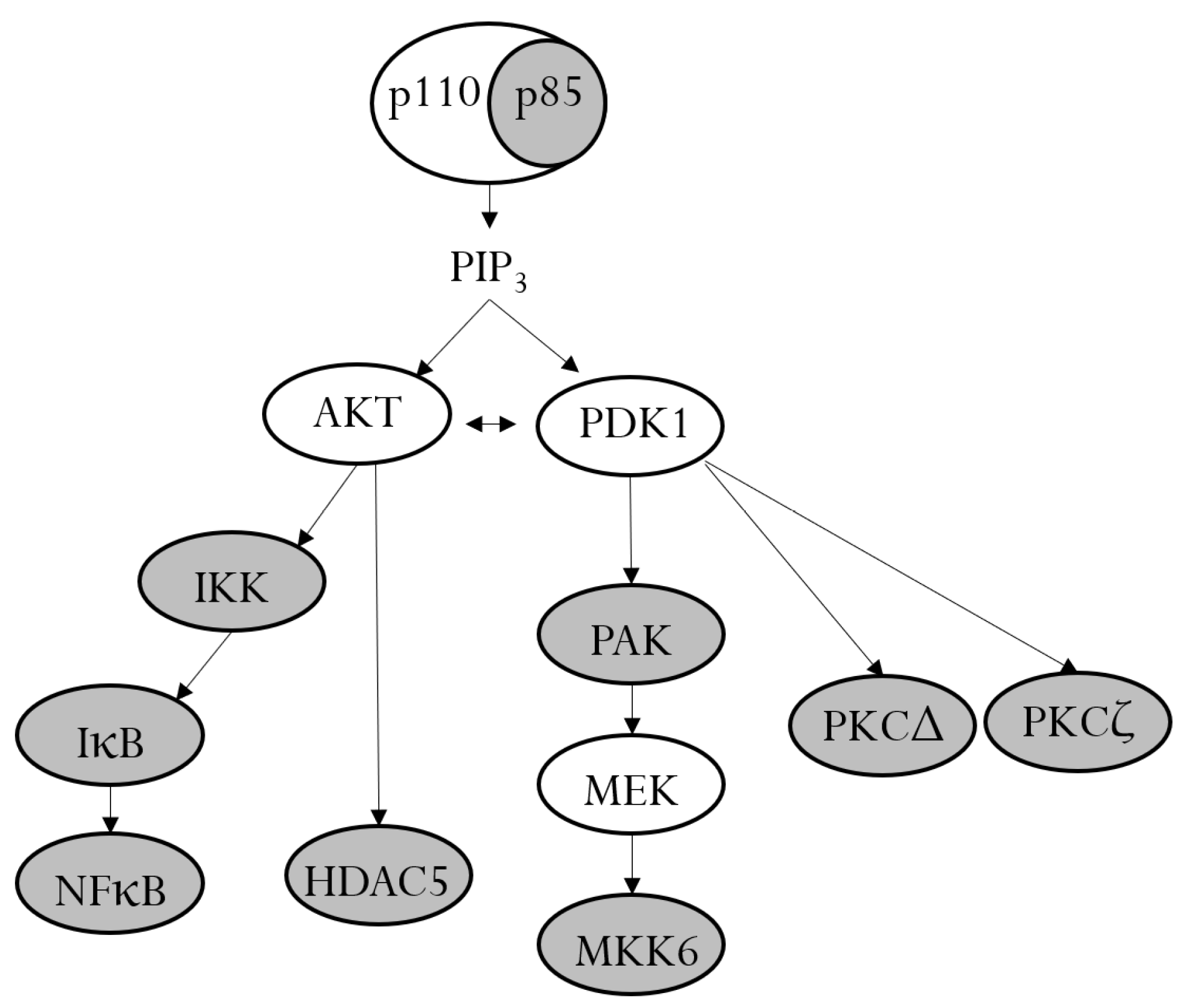 Biomedicines 11 03322 g006