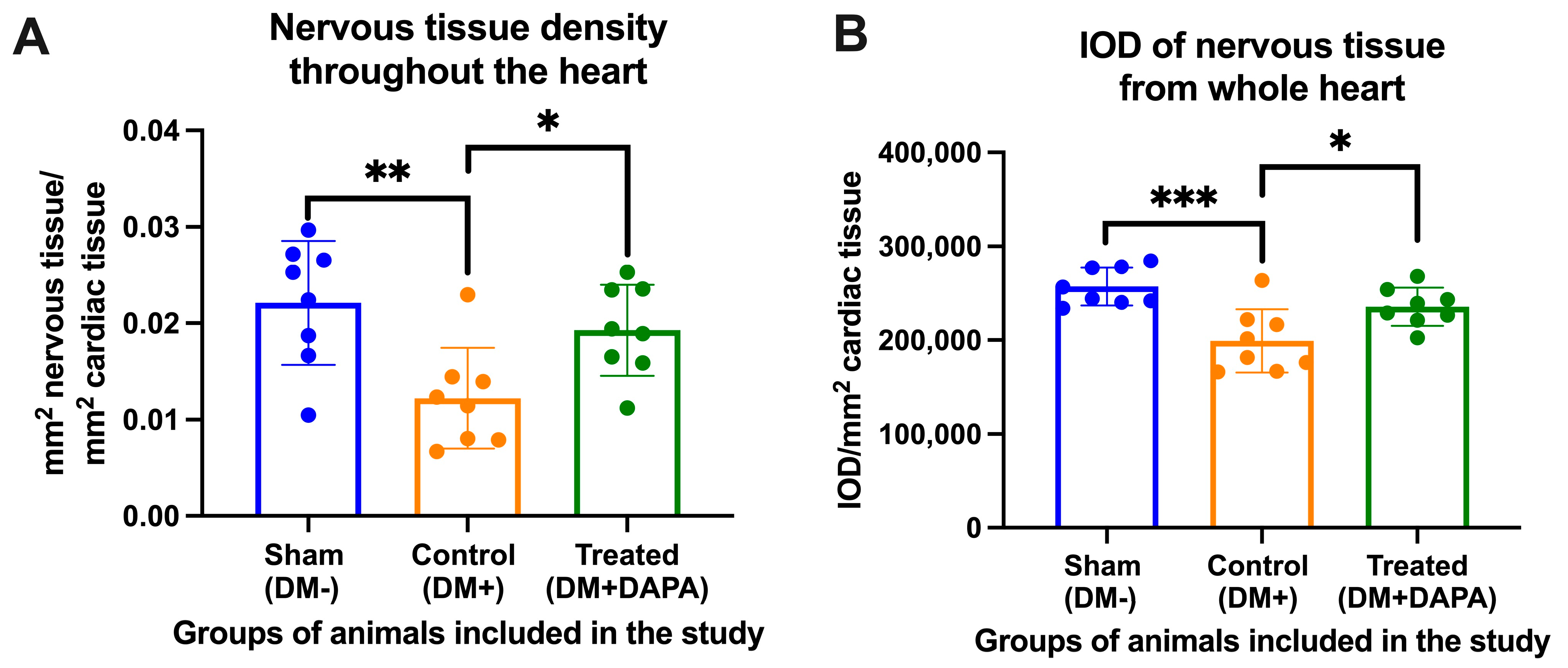 Biomedicines 11 03324 g002 Biomedicines 11 03324 g002