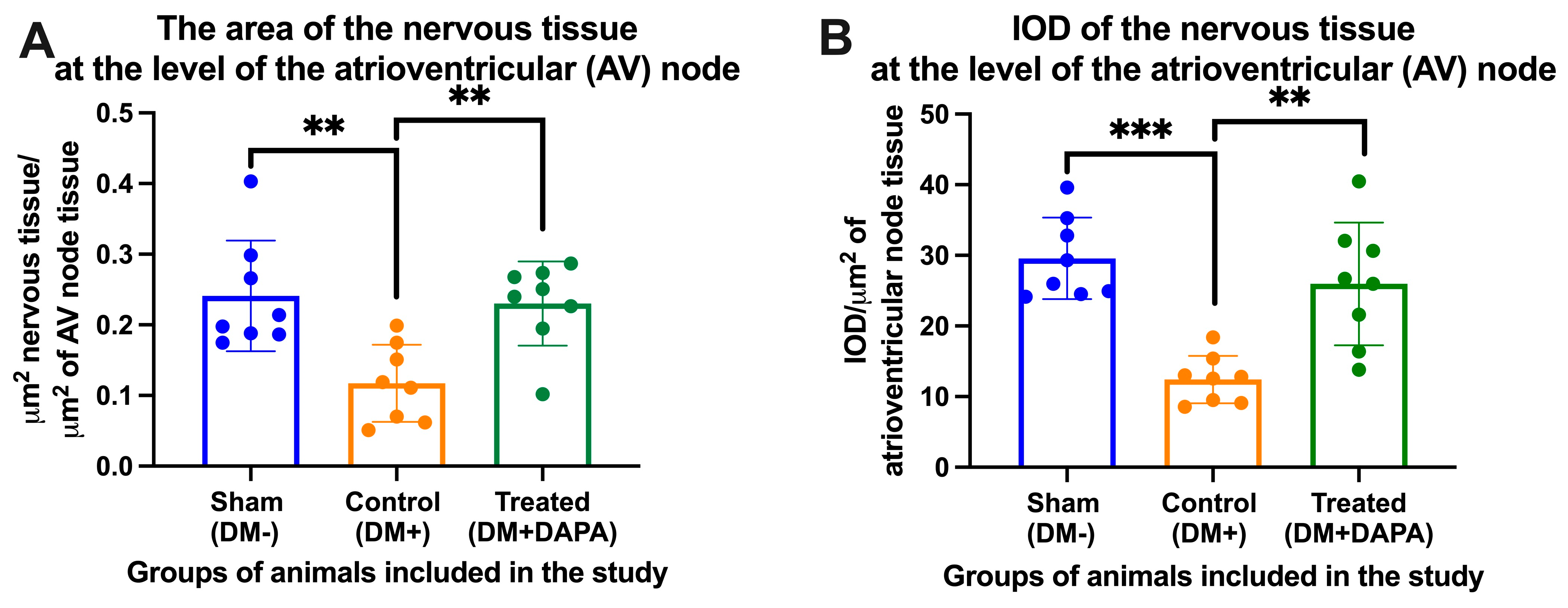 Biomedicines 11 03324 g004 Biomedicines 11 03324 g004