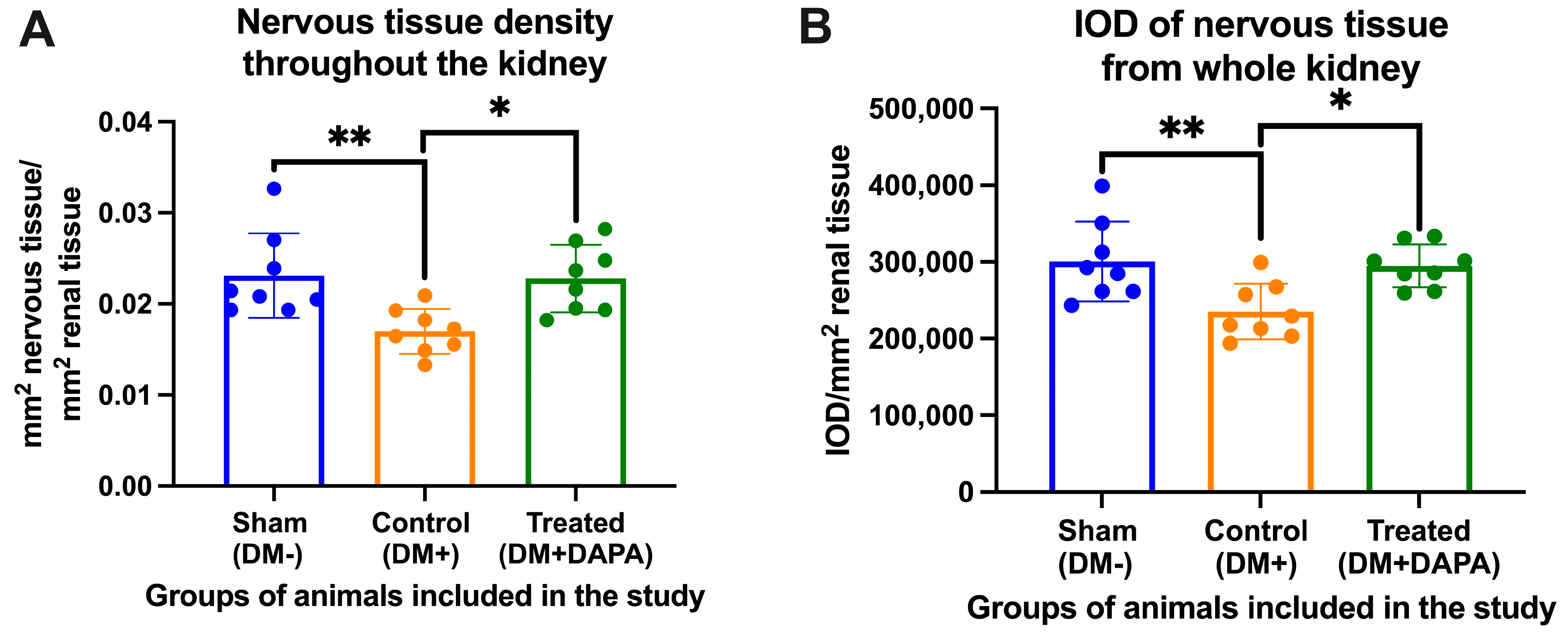 Biomedicines 11 03324 g006 Biomedicines 11 03324 g006