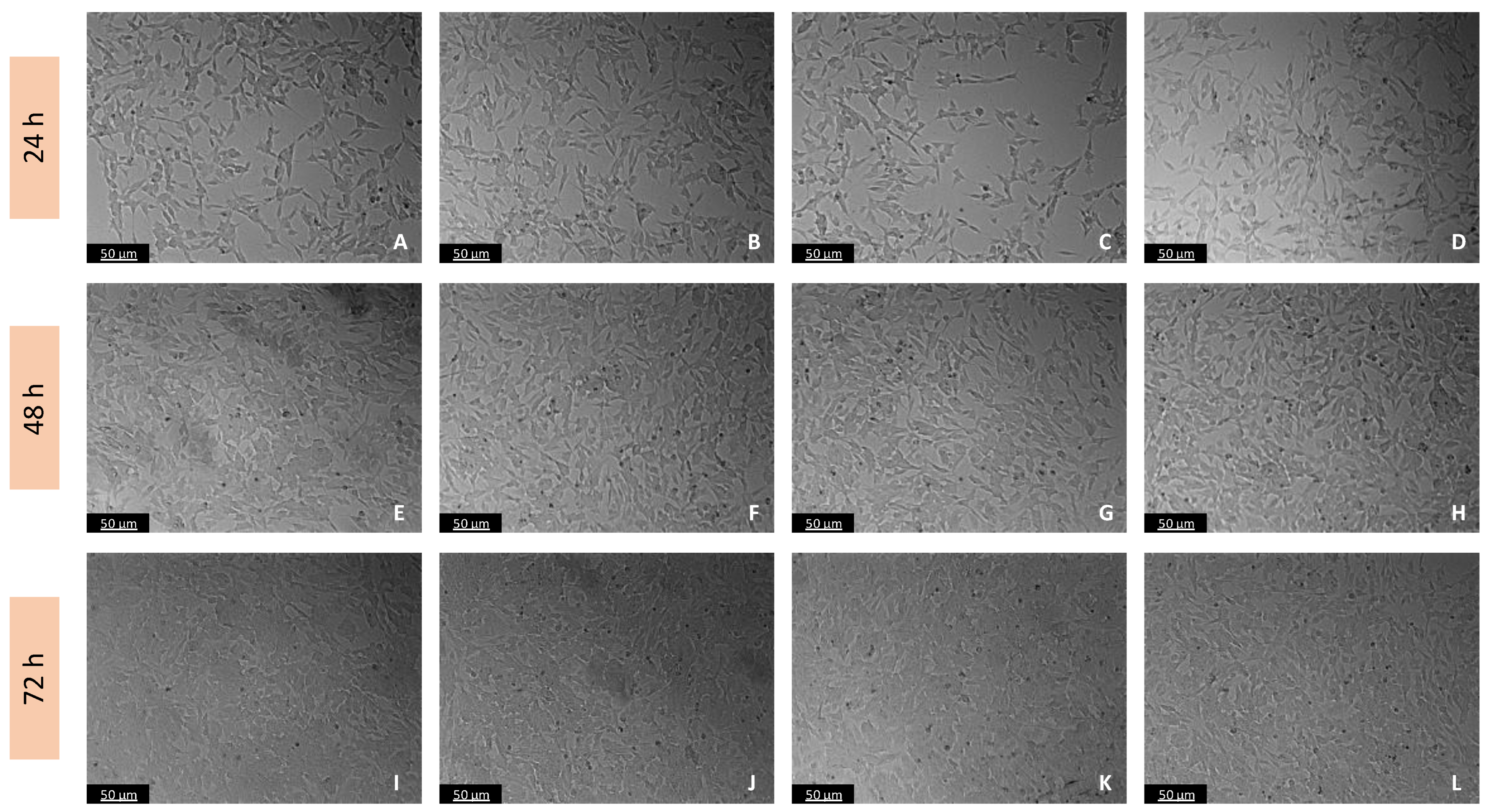 Biomedicines 11 03325 g002