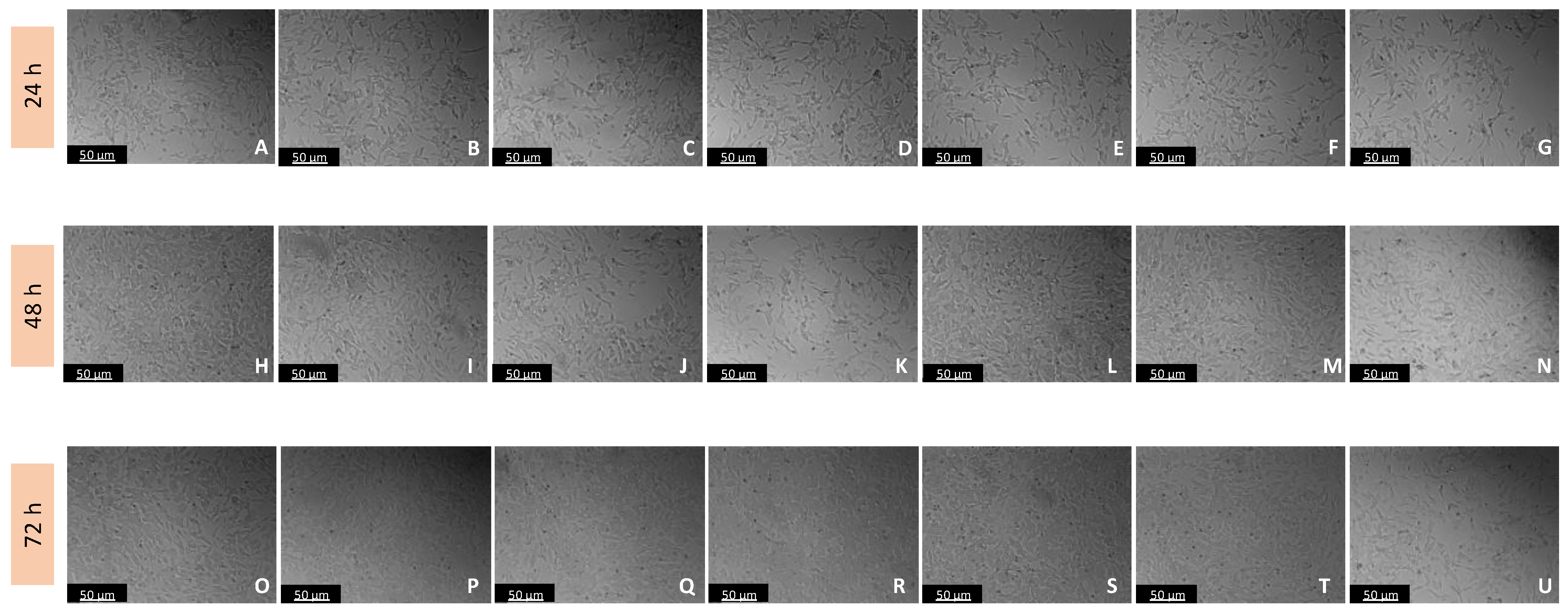 Biomedicines 11 03325 g005
