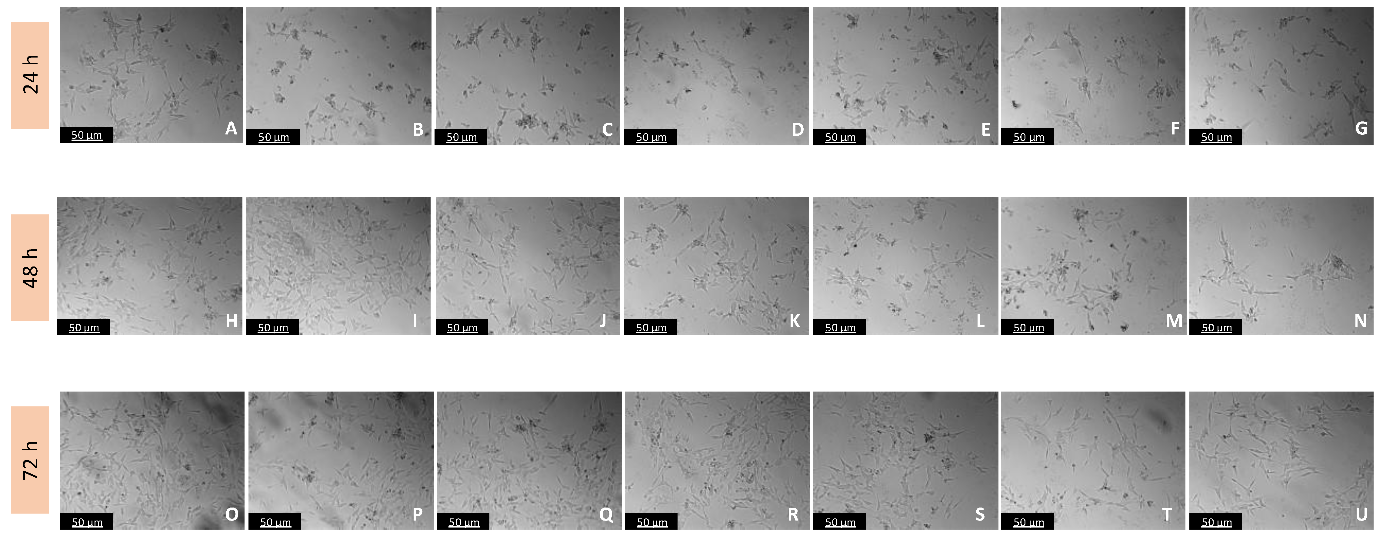 Biomedicines 11 03325 g007