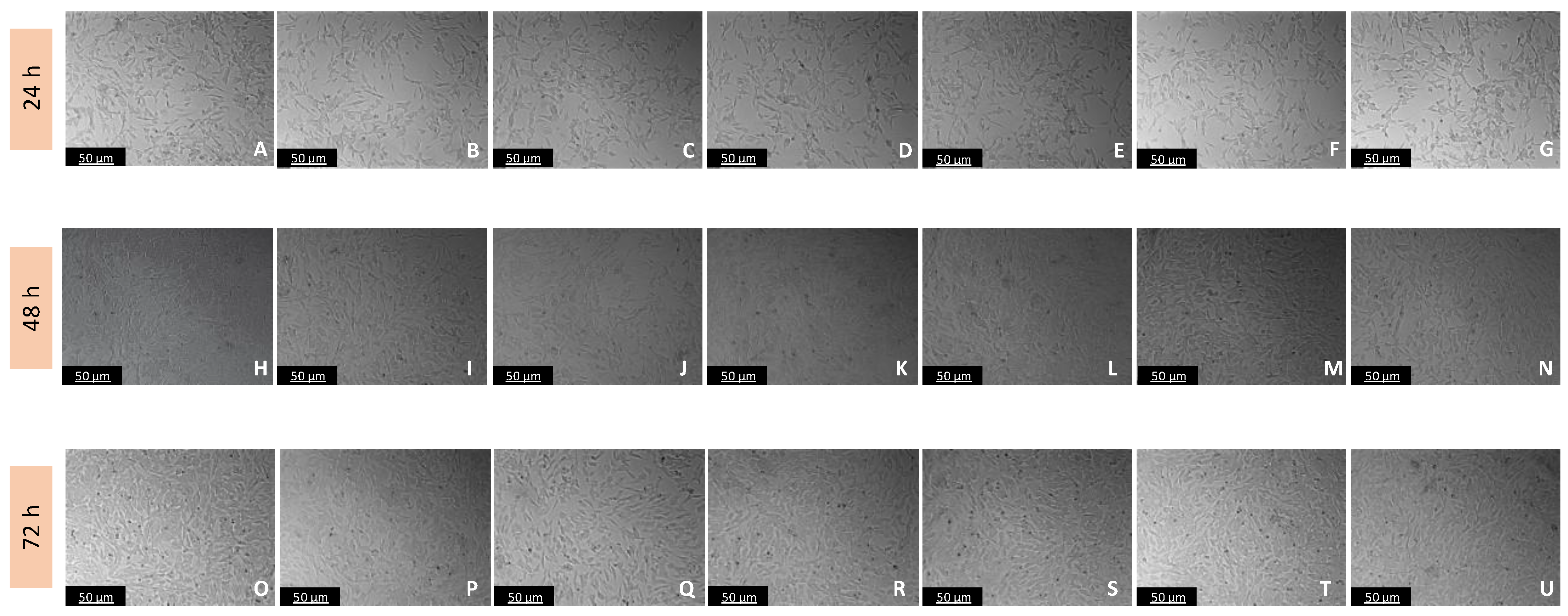 Biomedicines 11 03325 g008