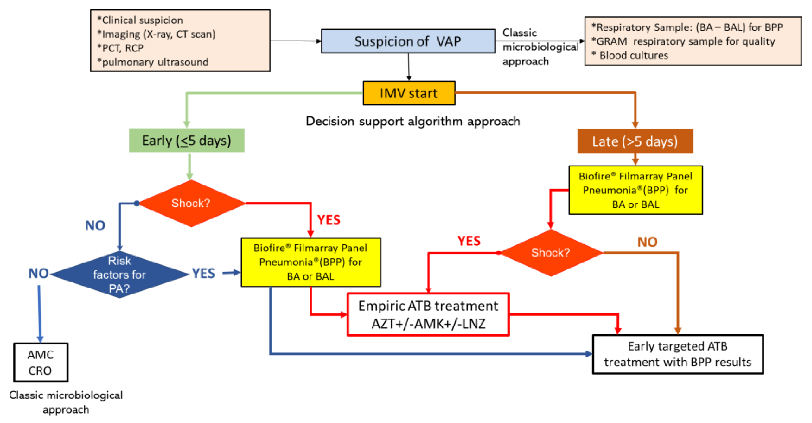 Biomedicines 11 03330 g002