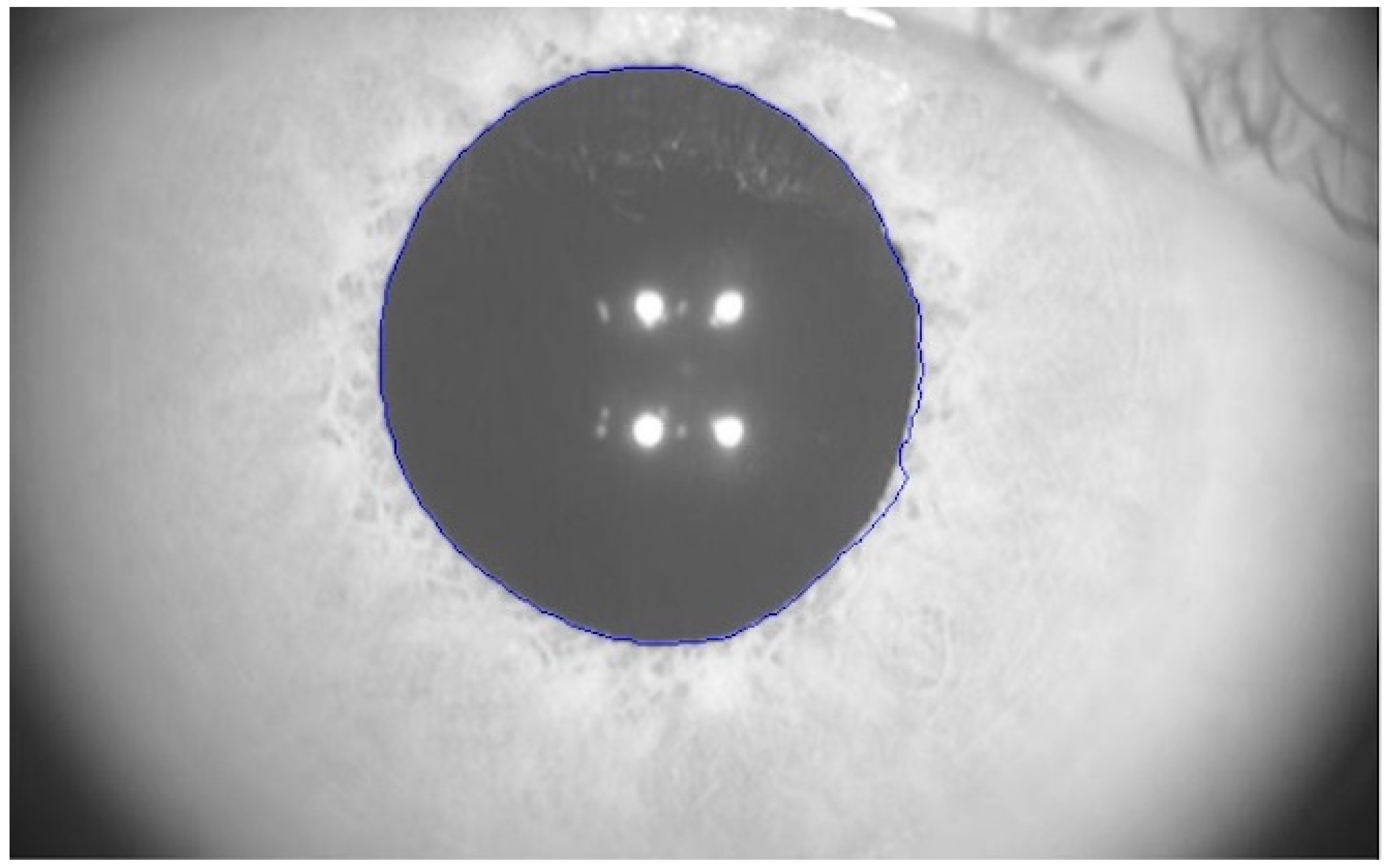 Biomedicines 11 03332 g001