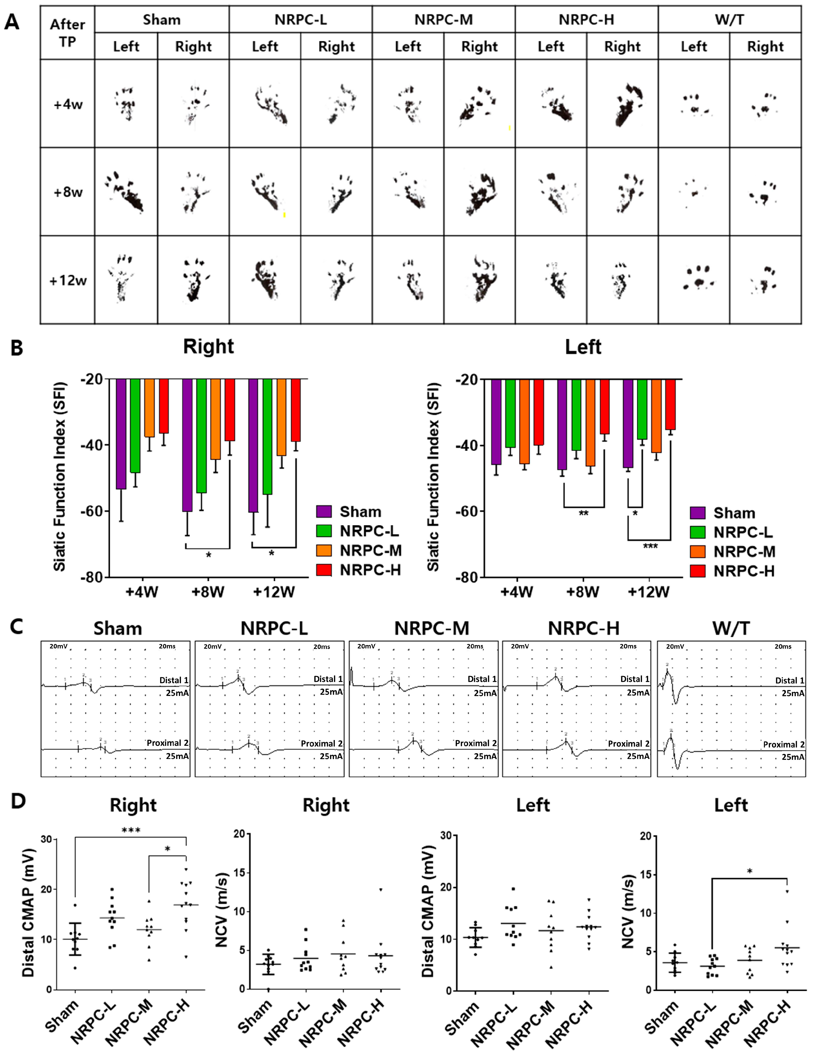 Biomedicines 11 03334 g001