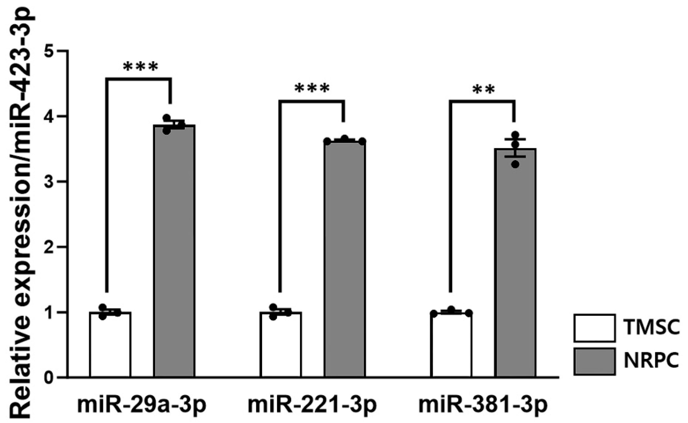 Biomedicines 11 03334 g008