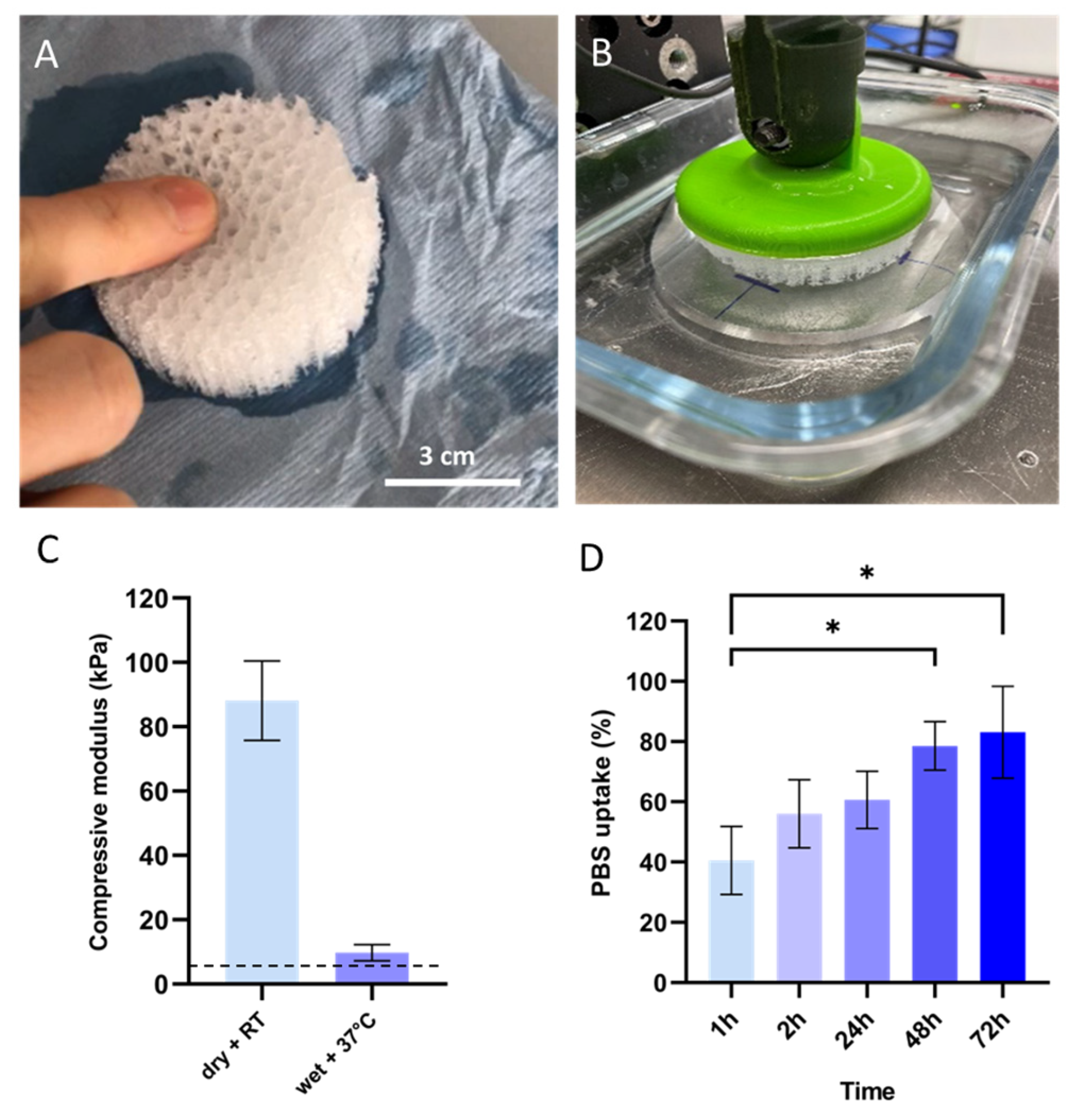 Biomedicines 11 03337 g002 Biomedicines 11 03337 g002