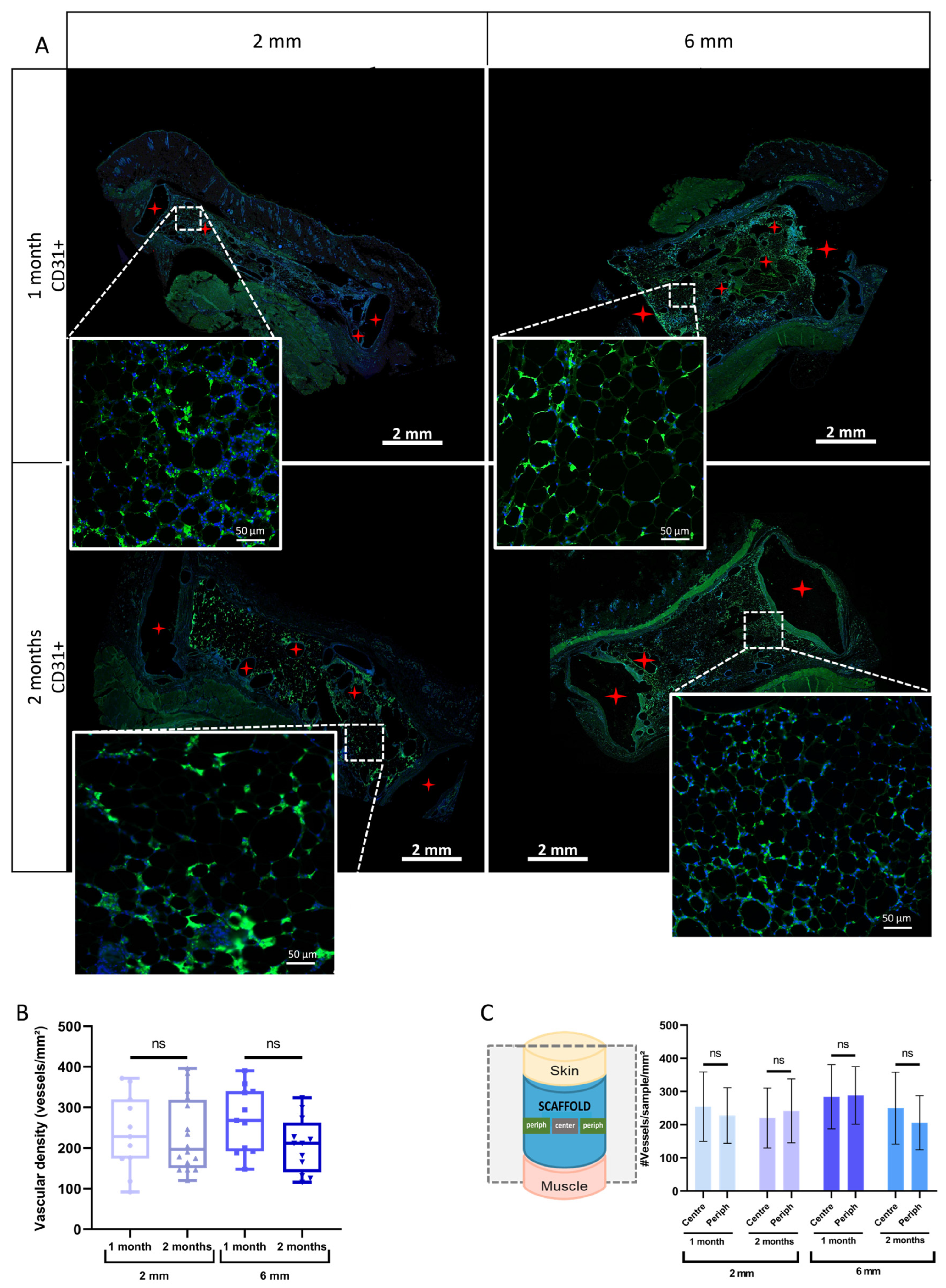 Biomedicines 11 03337 g009 Biomedicines 11 03337 g009