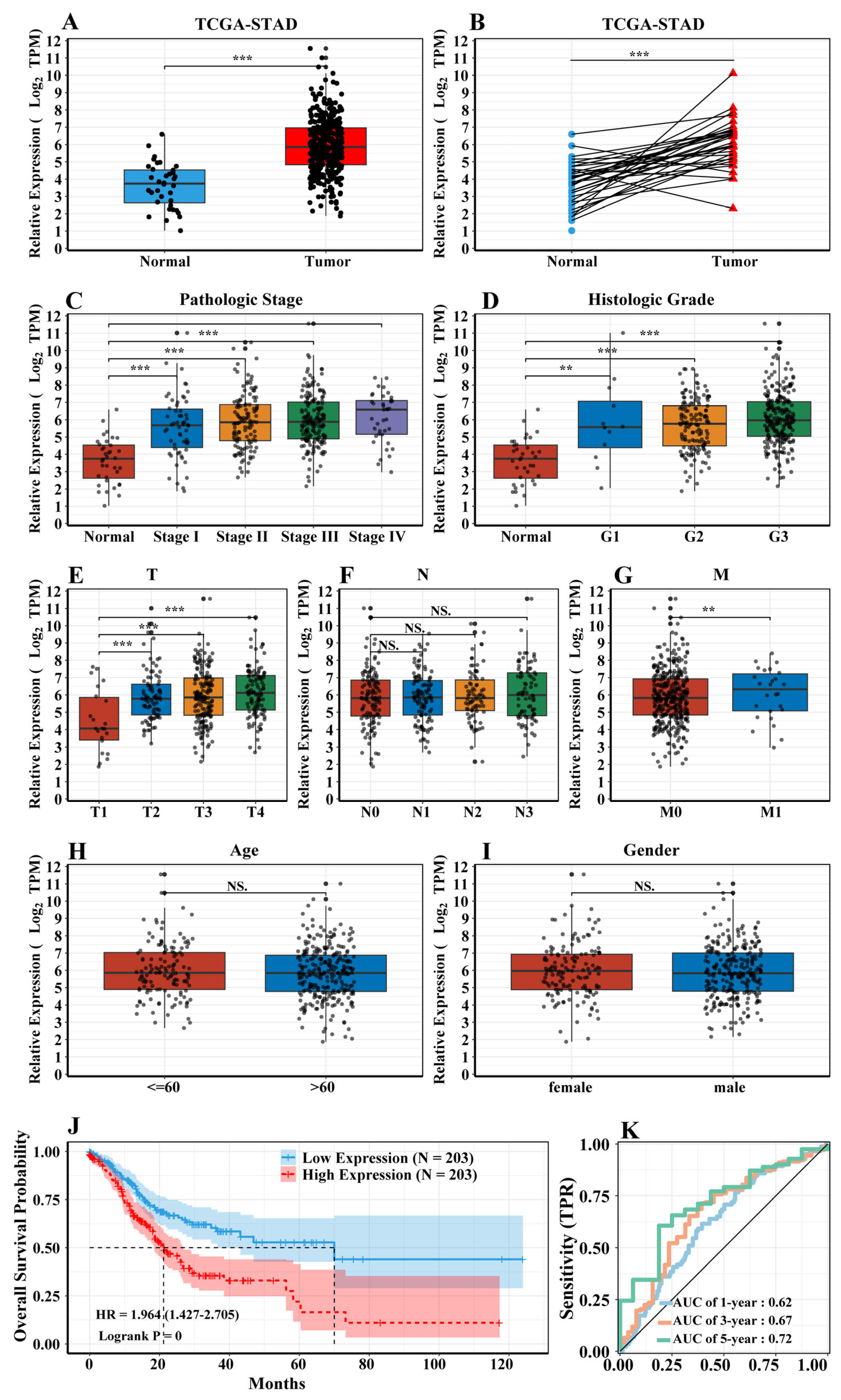 Biomedicines 11 03346 g002 Biomedicines 11 03346 g002