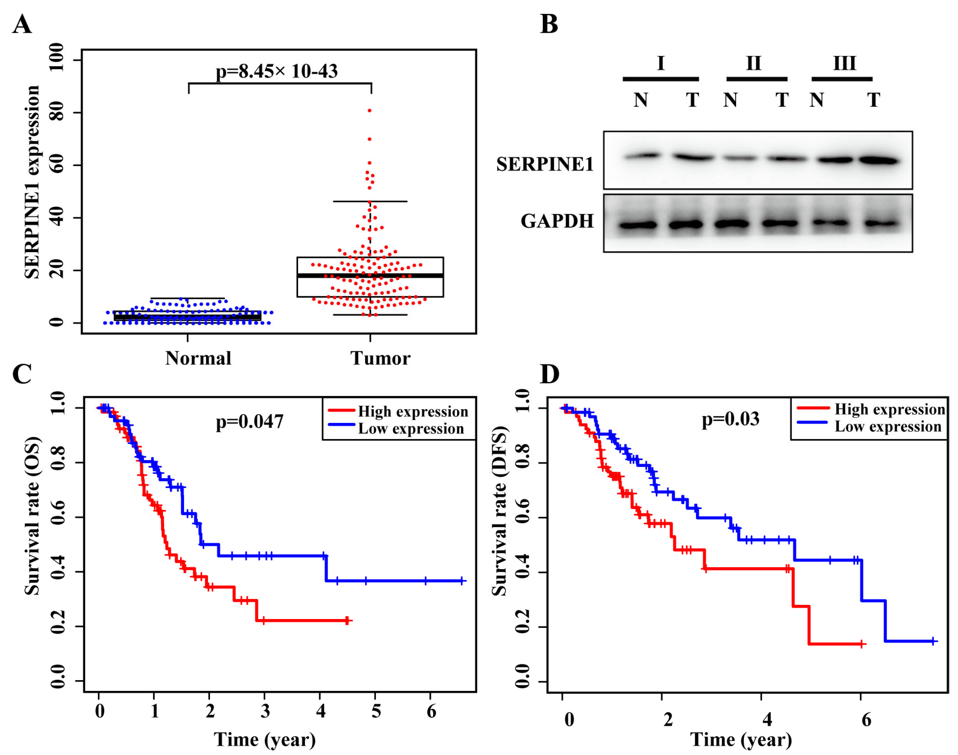 Biomedicines 11 03346 g003 Biomedicines 11 03346 g003