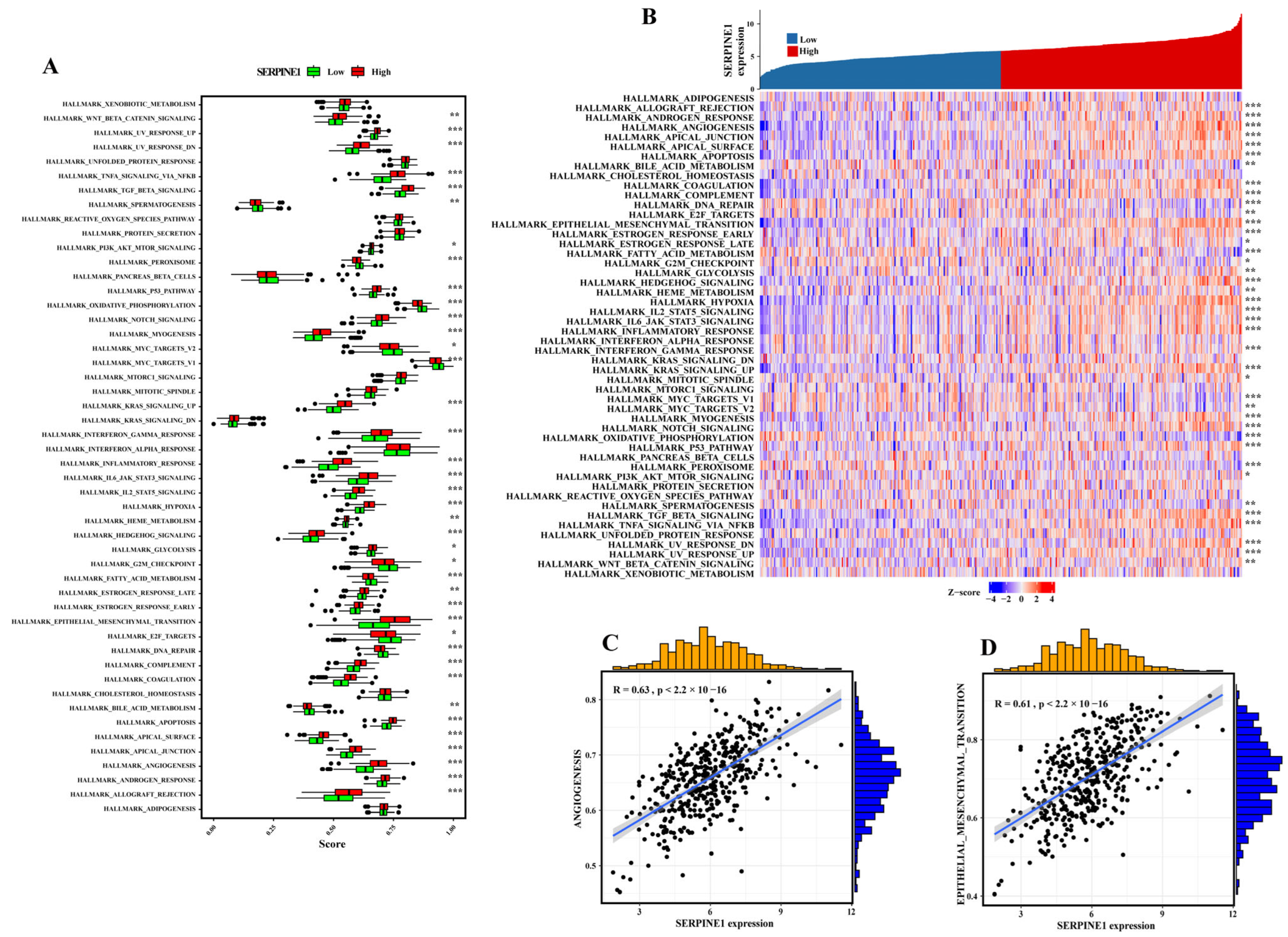 Biomedicines 11 03346 g004 Biomedicines 11 03346 g004