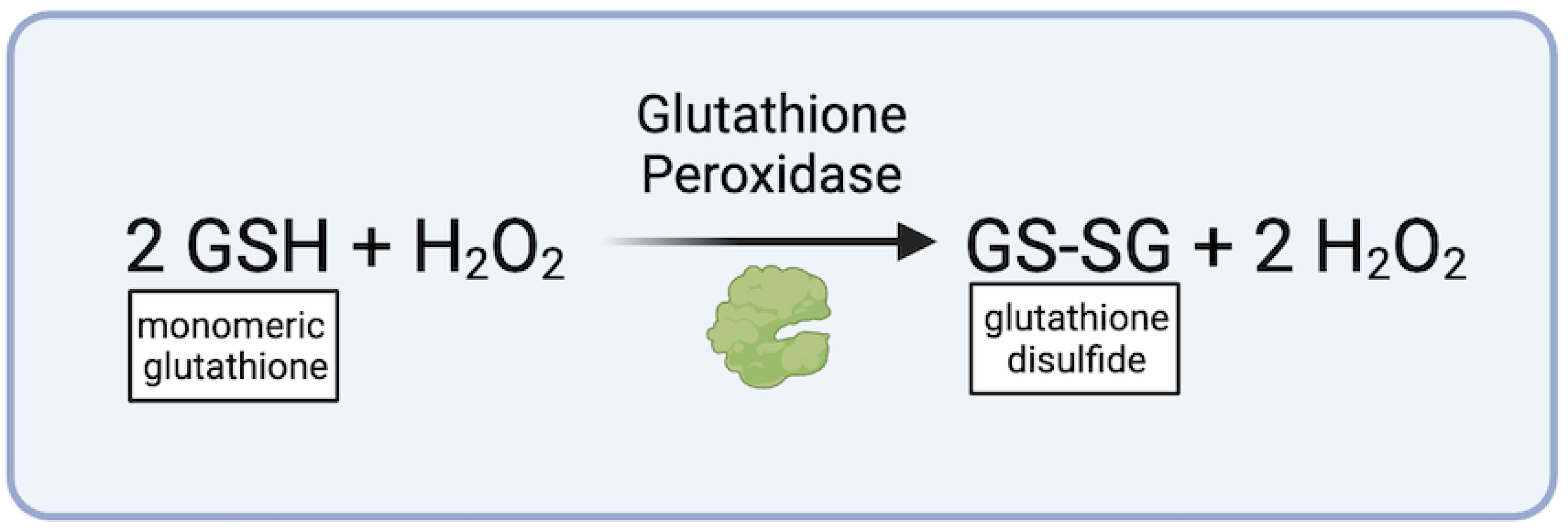 Biomedicines 12 00003 g003