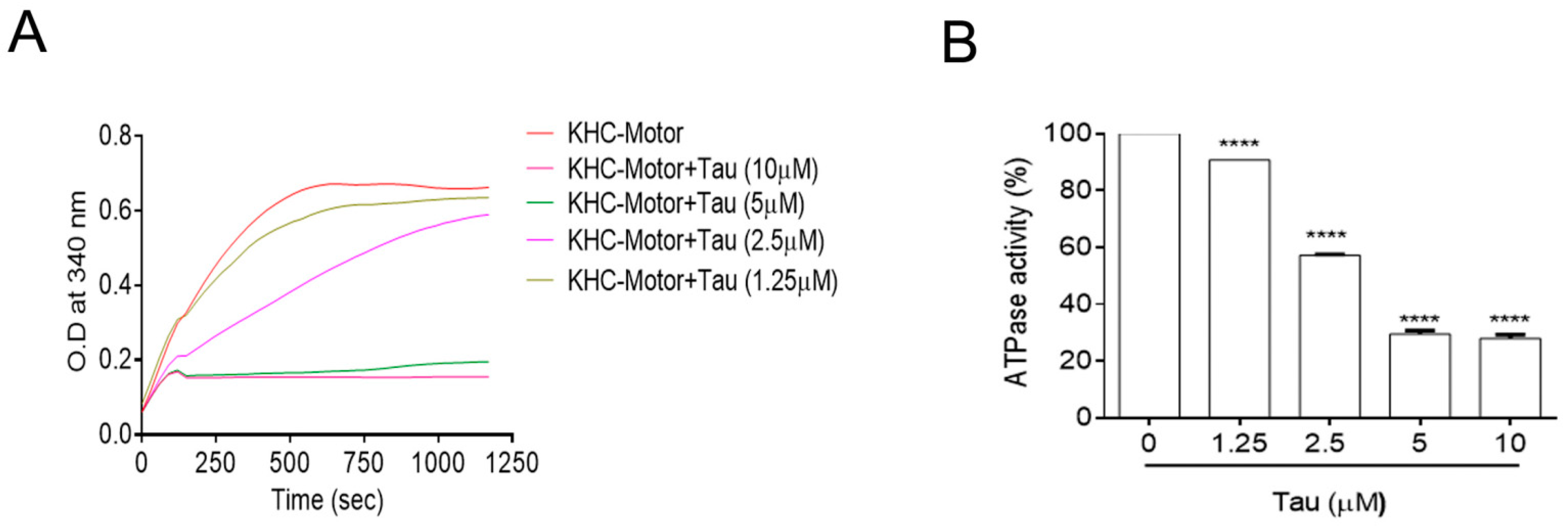 Biomedicines 12 00005 g002 Biomedicines 12 00005 g002