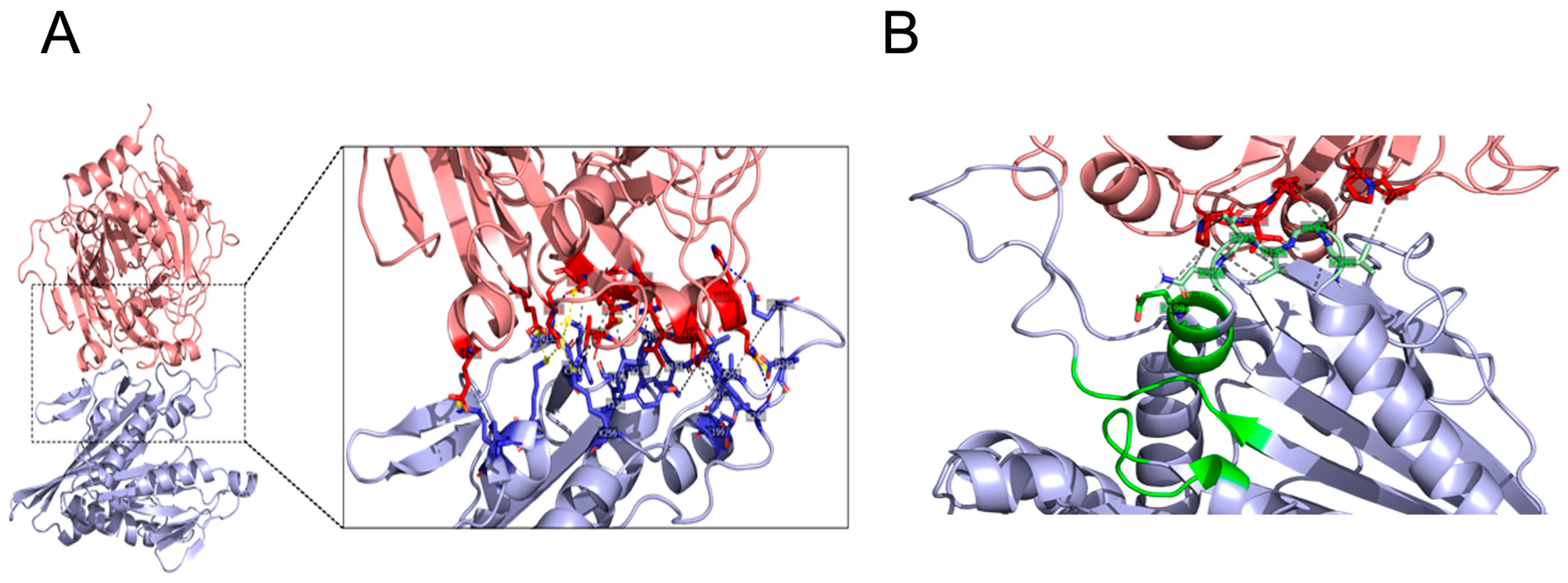 Biomedicines 12 00005 g003 Biomedicines 12 00005 g003
