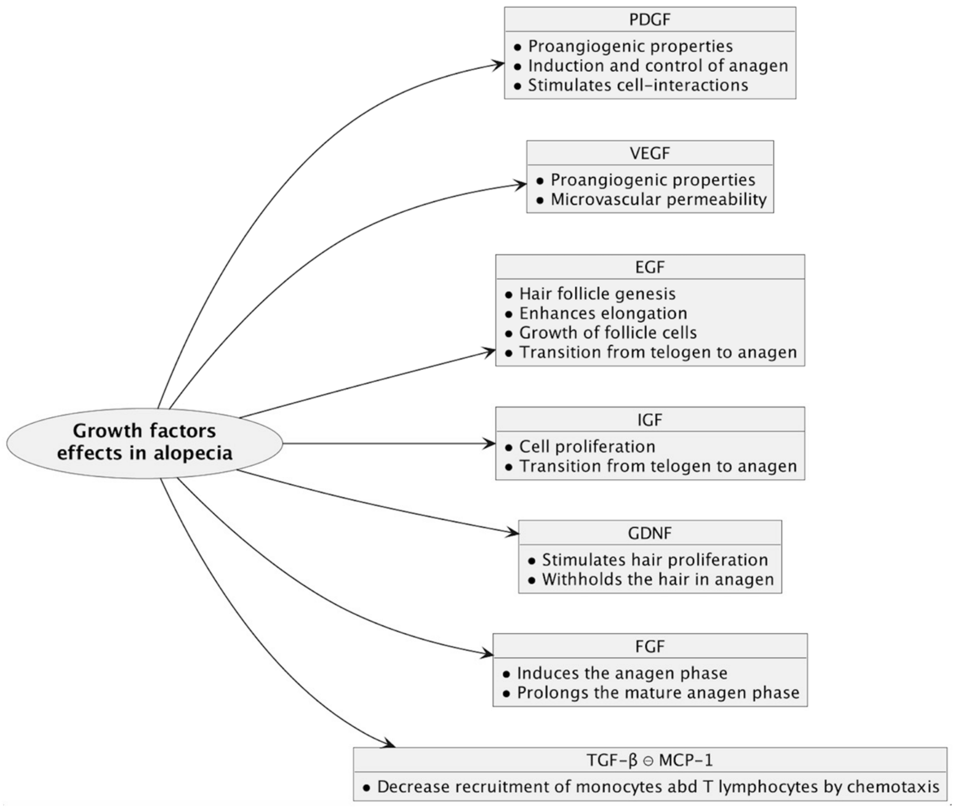 Biomedicines 12 00007 g004