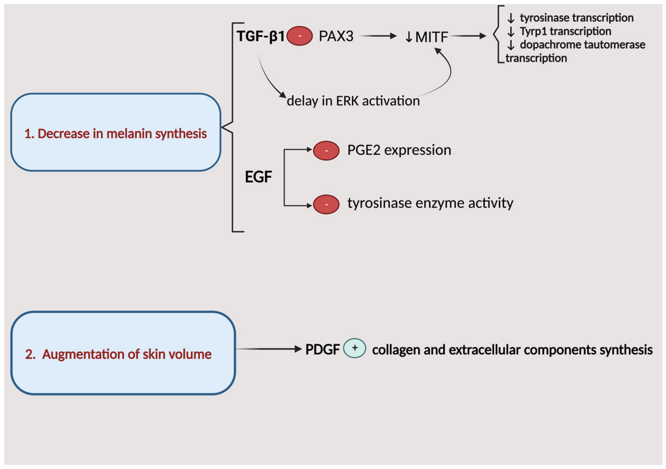 Biomedicines 12 00007 g005