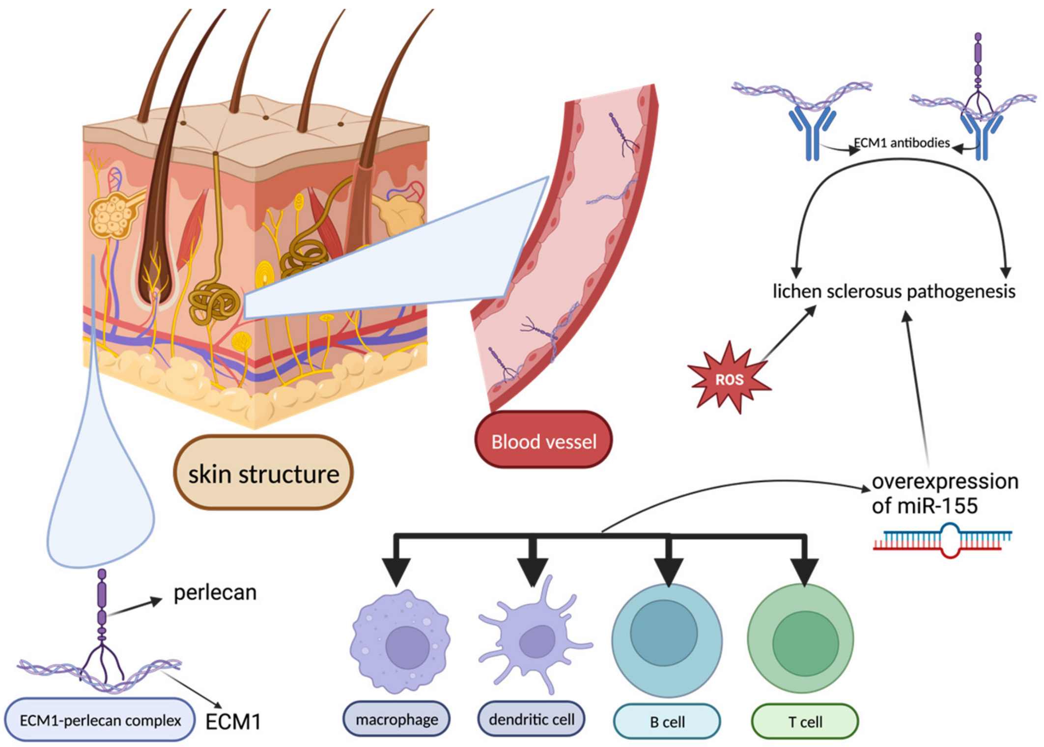 Biomedicines 12 00007 g007