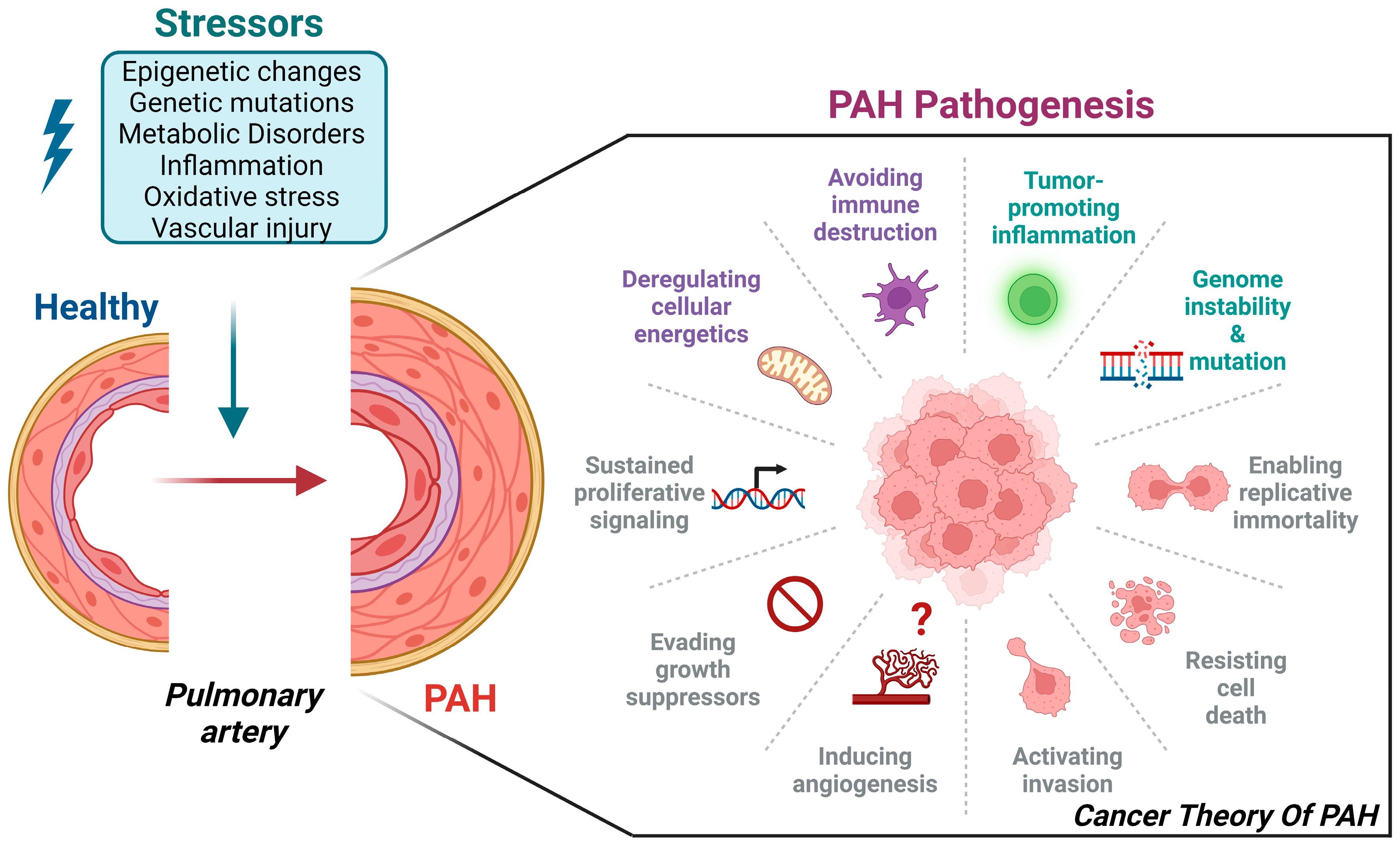 Biomedicines 12 00010 g003 Biomedicines 12 00010 g003