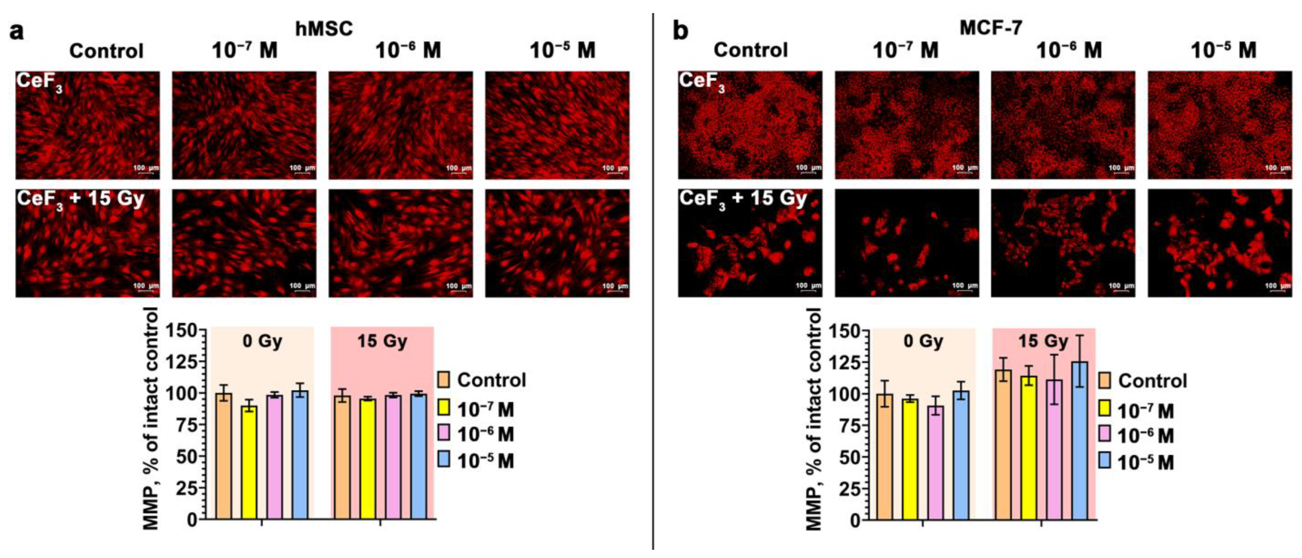 Biomedicines 12 00011 g003 Biomedicines 12 00011 g003