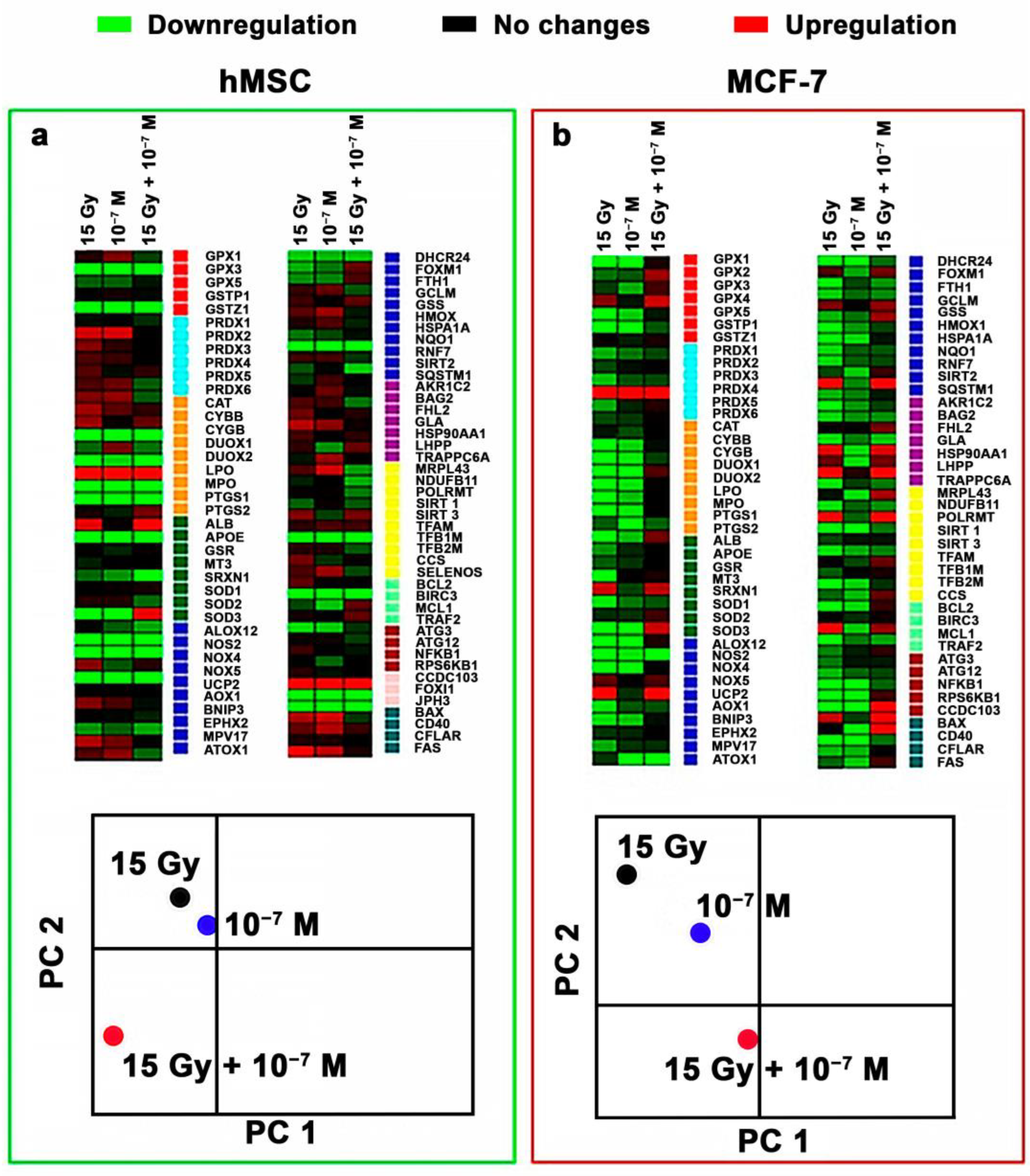 Biomedicines 12 00011 g005 Biomedicines 12 00011 g005