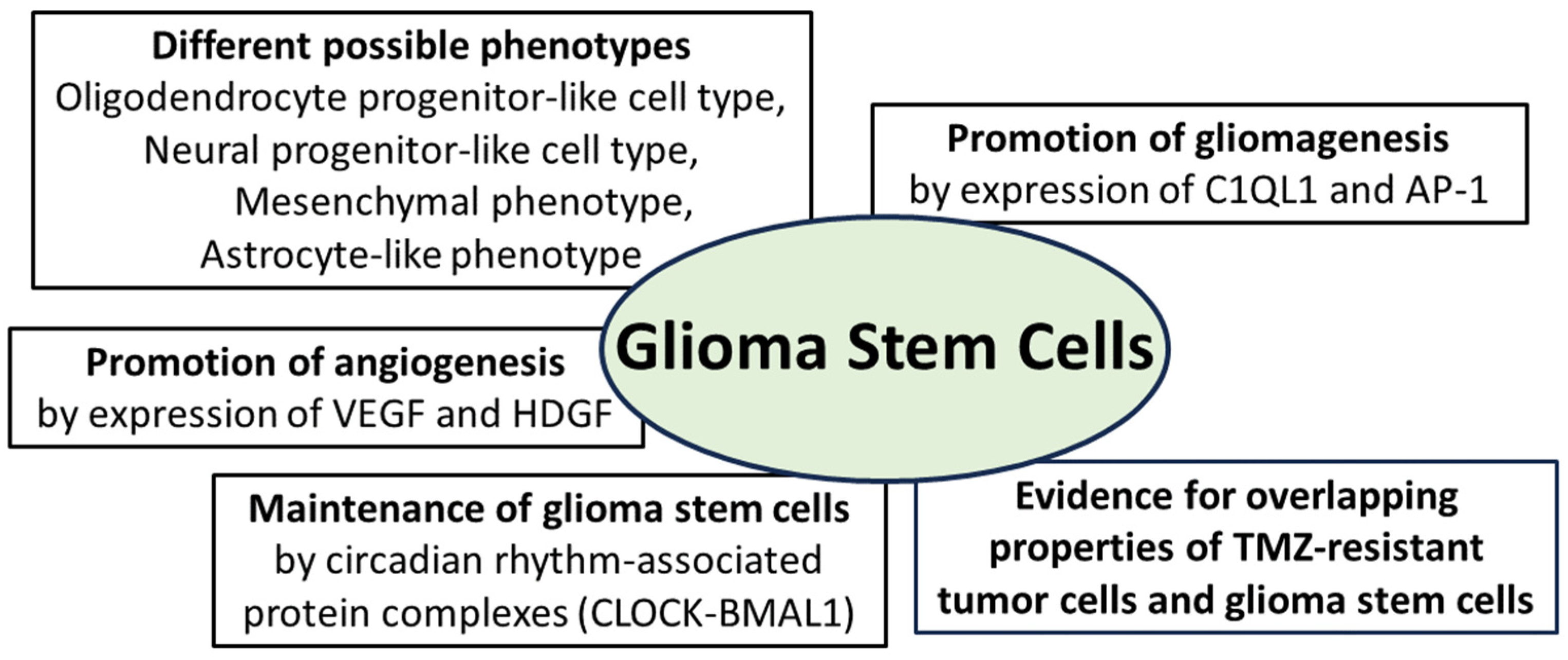 Biomedicines 12 00014 g003