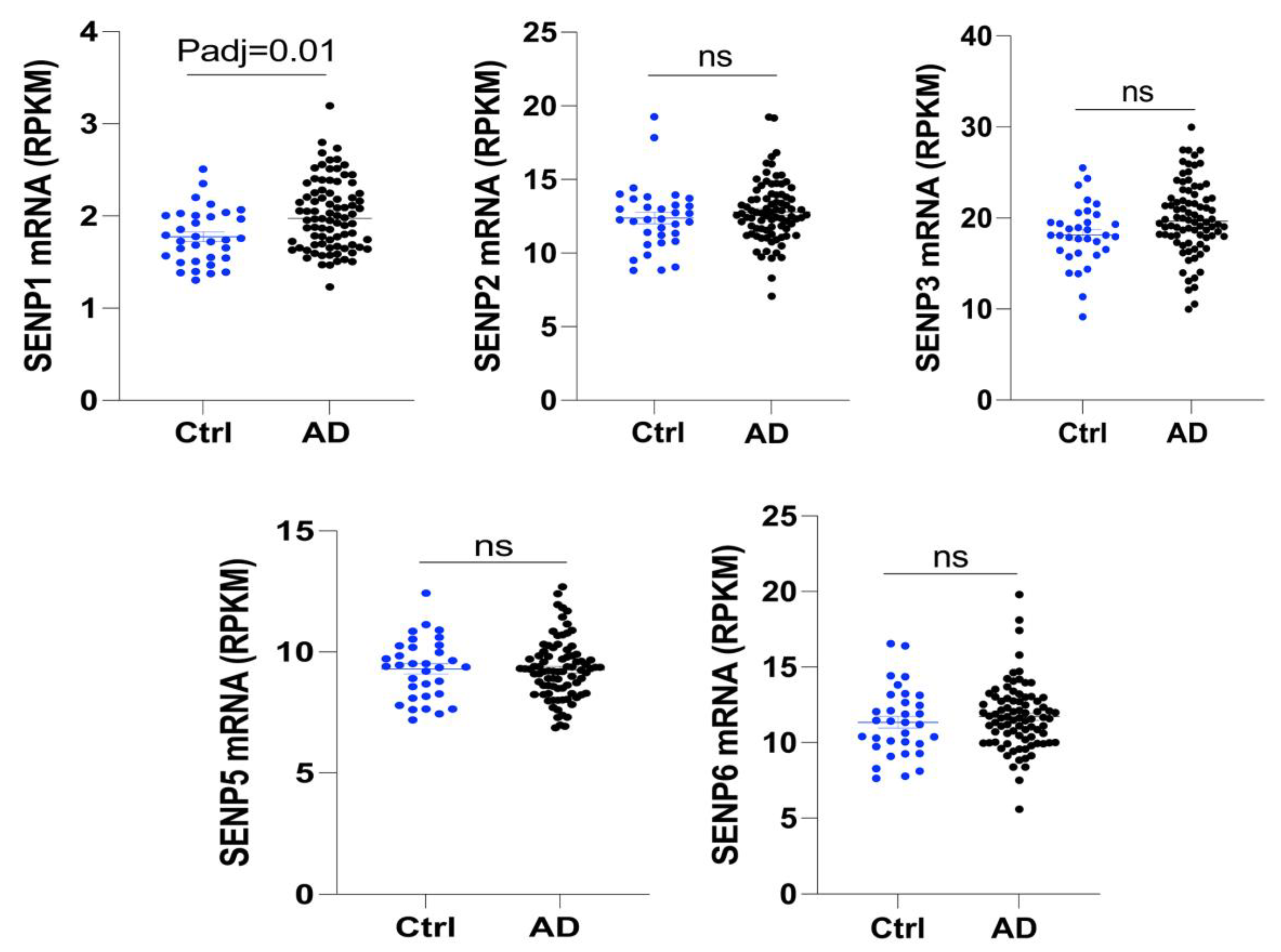 Biomedicines 12 00016 g001