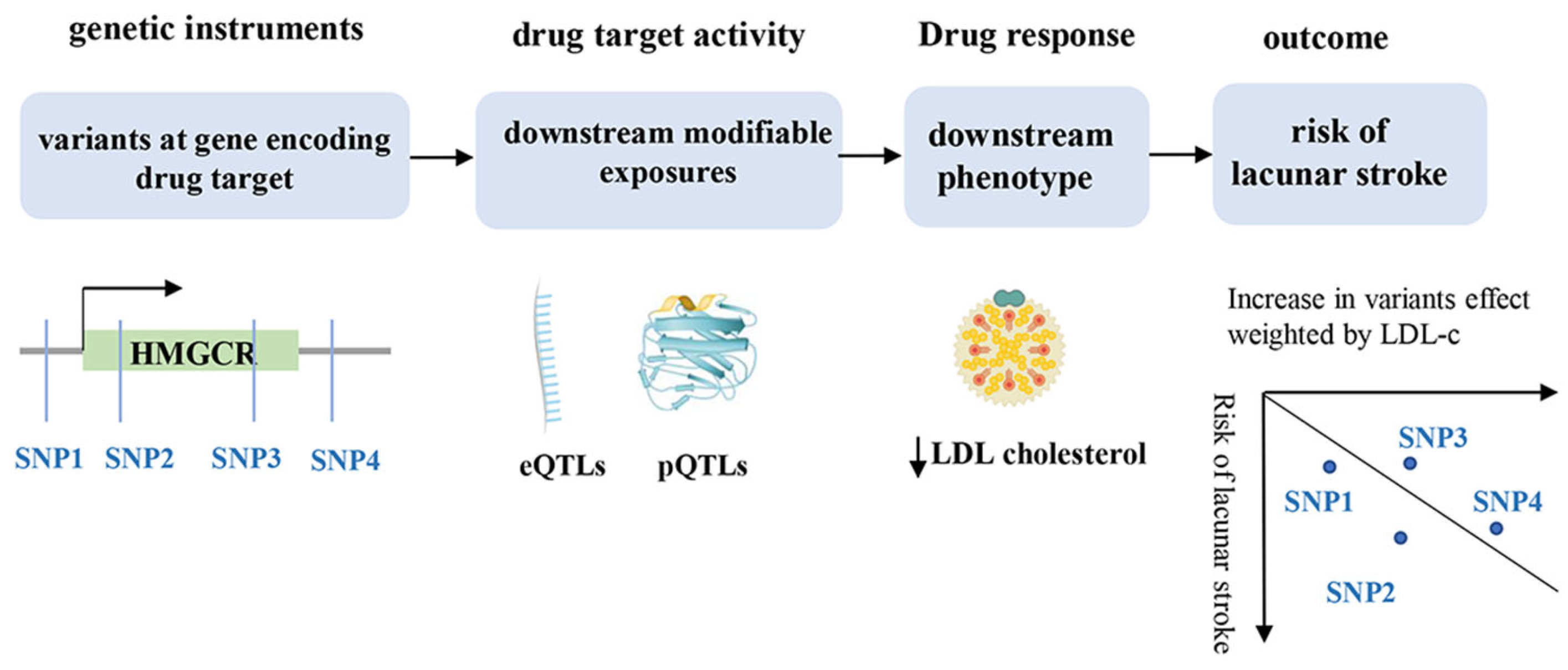 Biomedicines 12 00017 g002