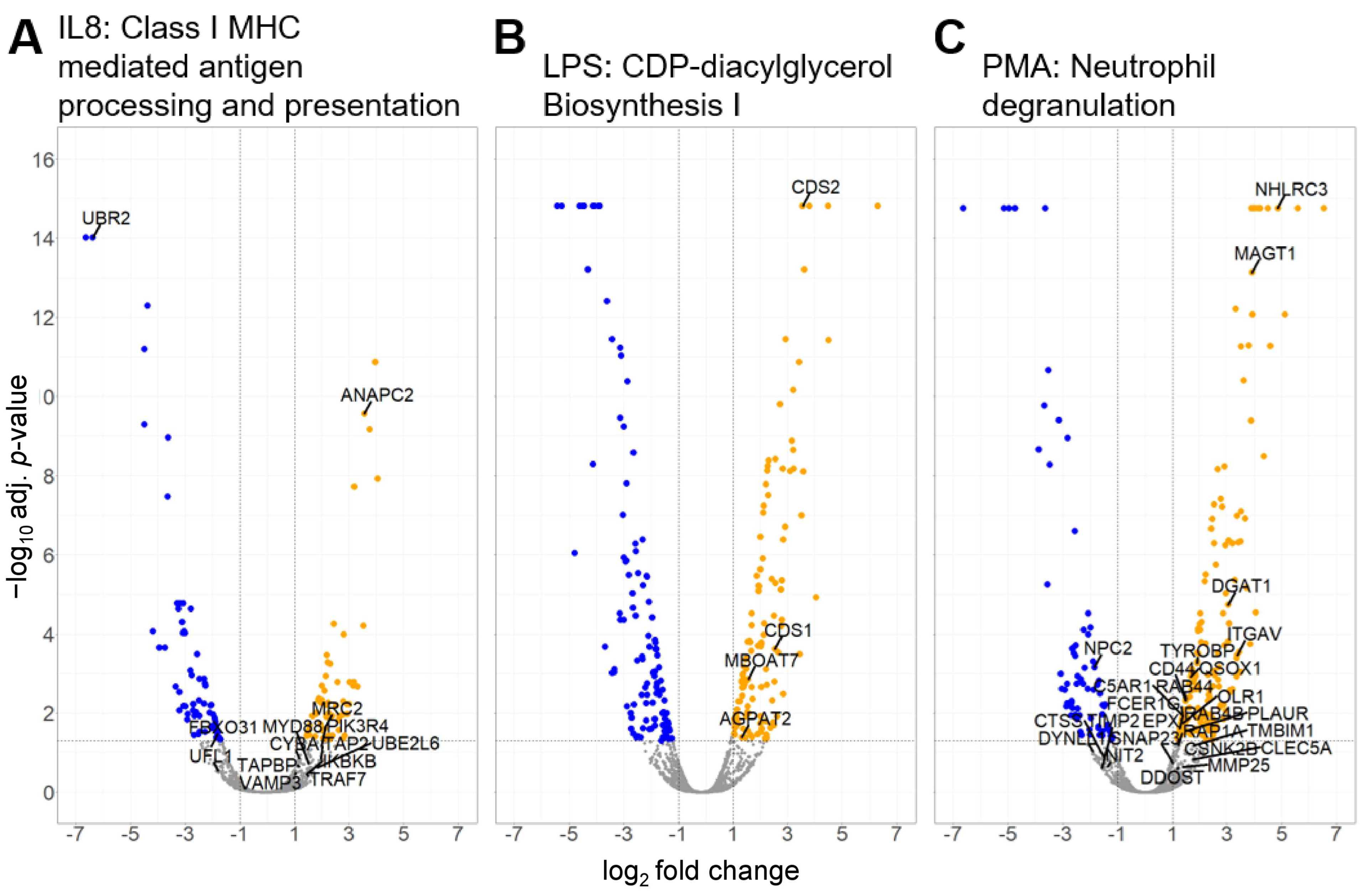 Biomedicines 12 00019 g004 Biomedicines 12 00019 g004