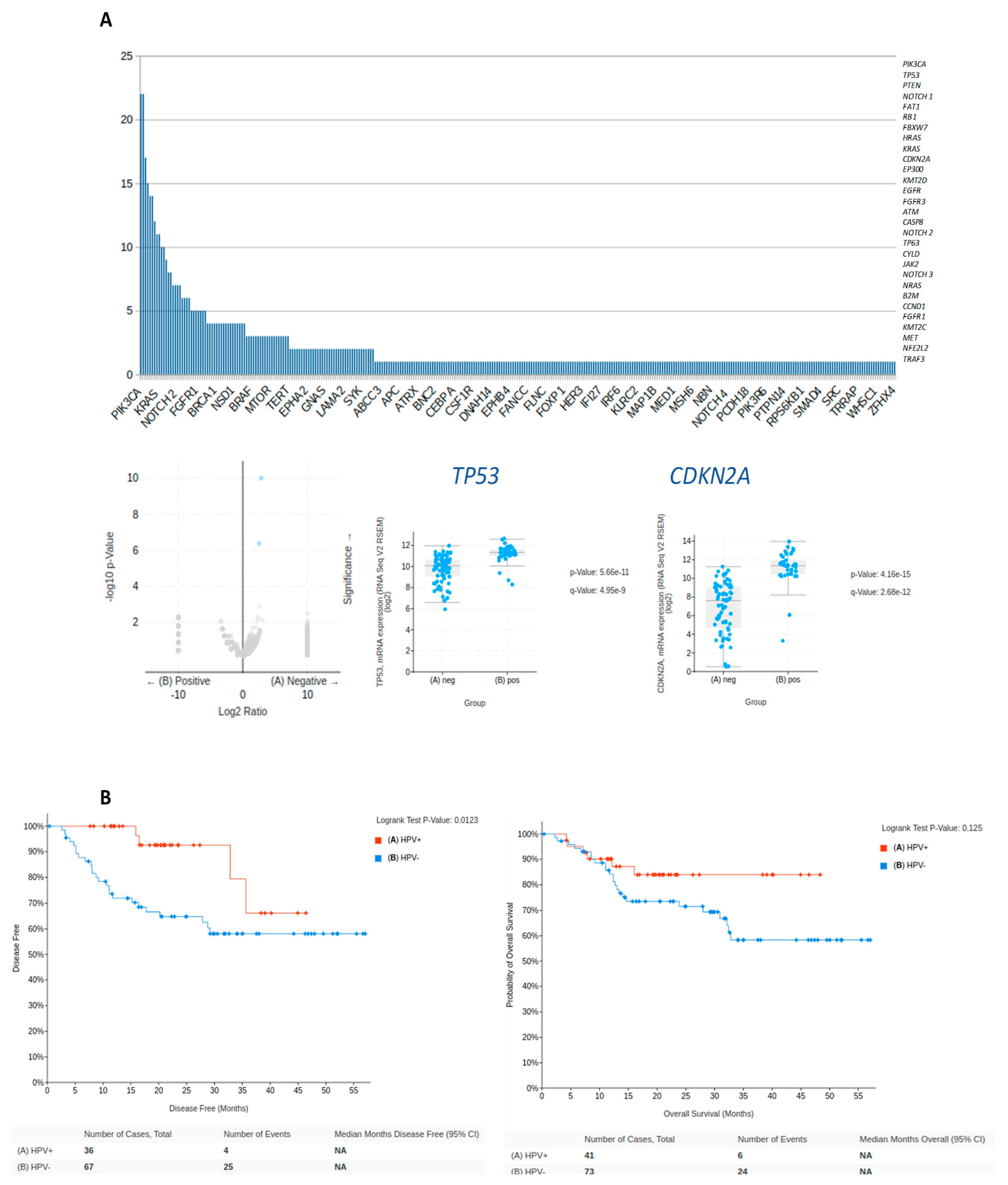 Biomedicines 12 00024 g002