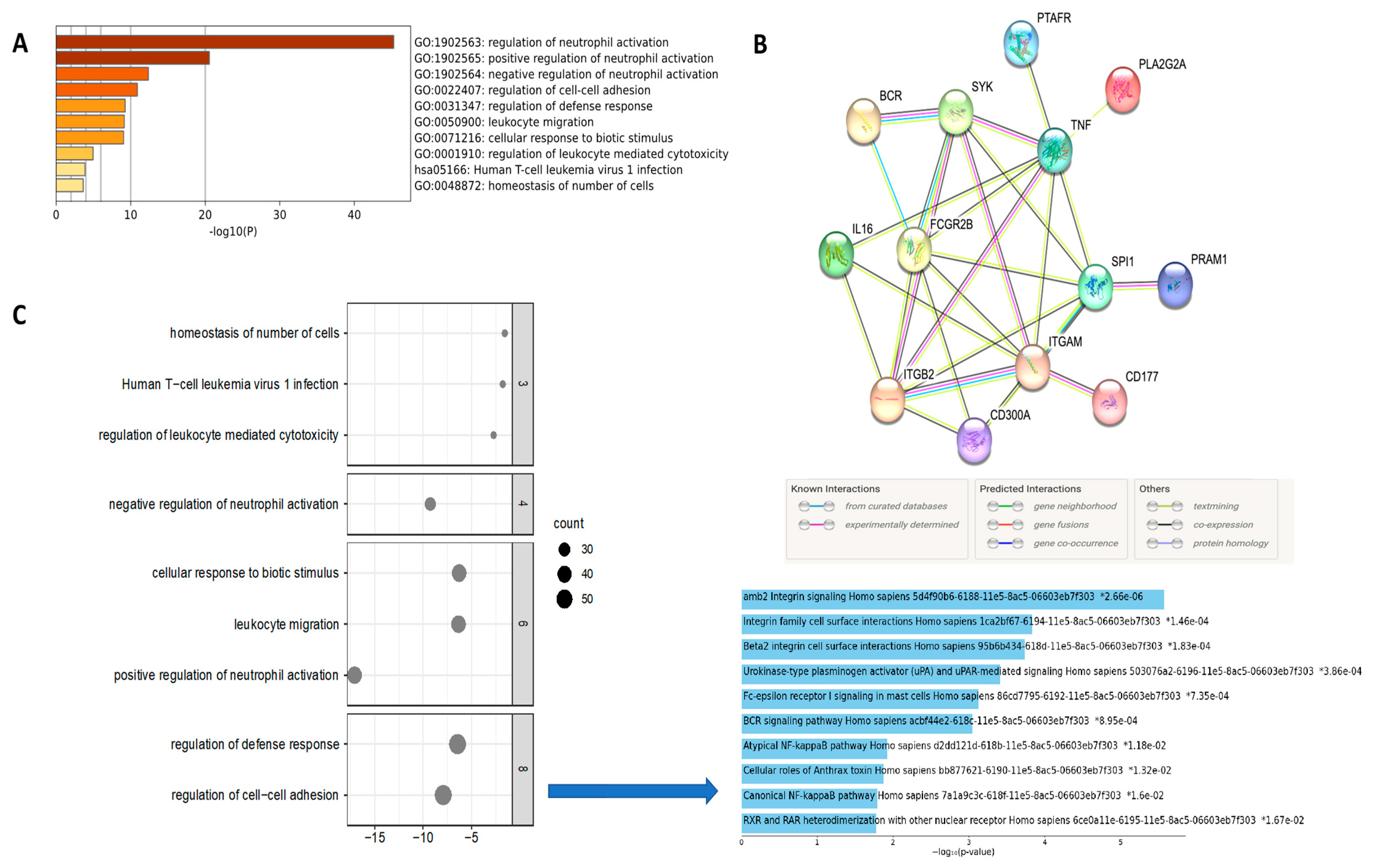 Biomedicines 12 00024 g003