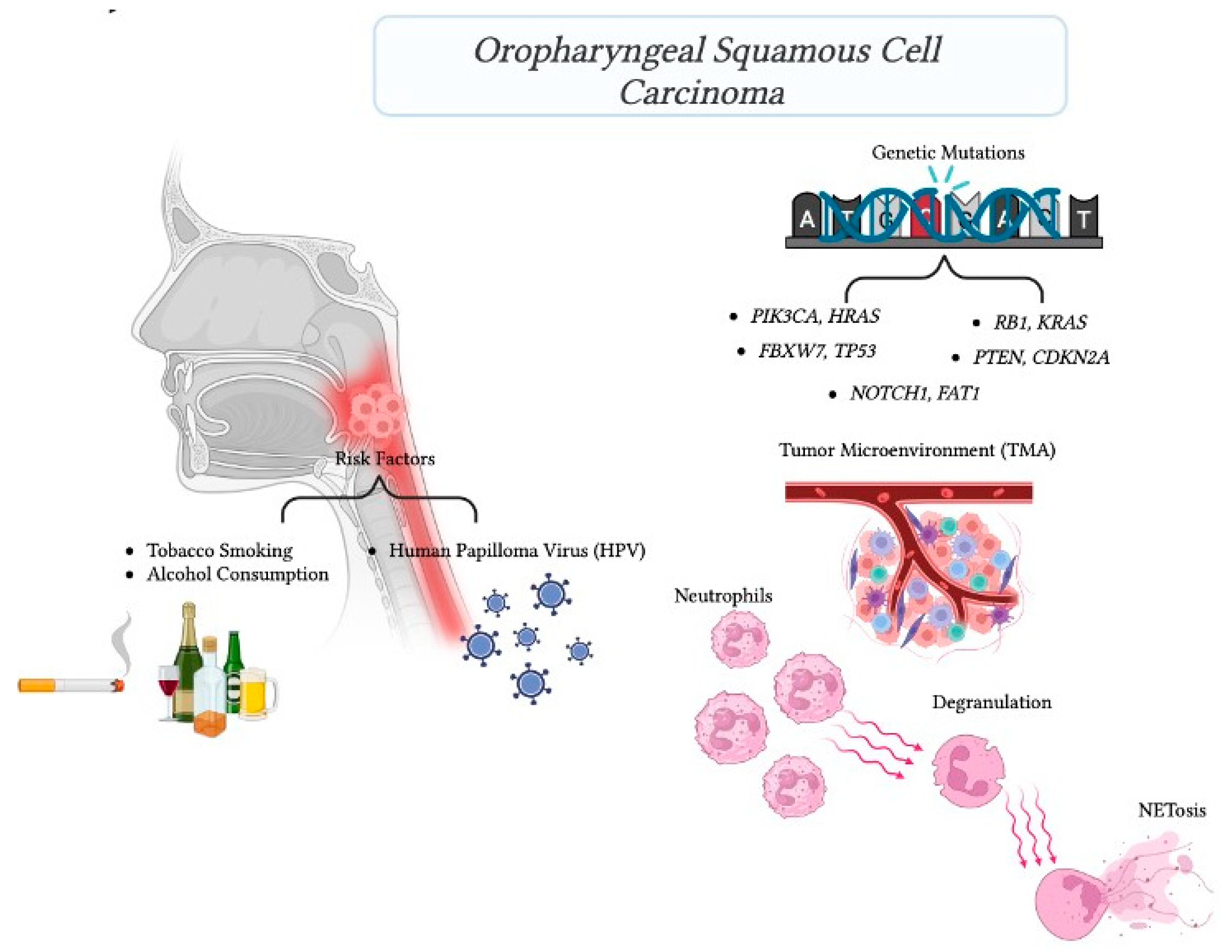 Biomedicines 12 00024 g005