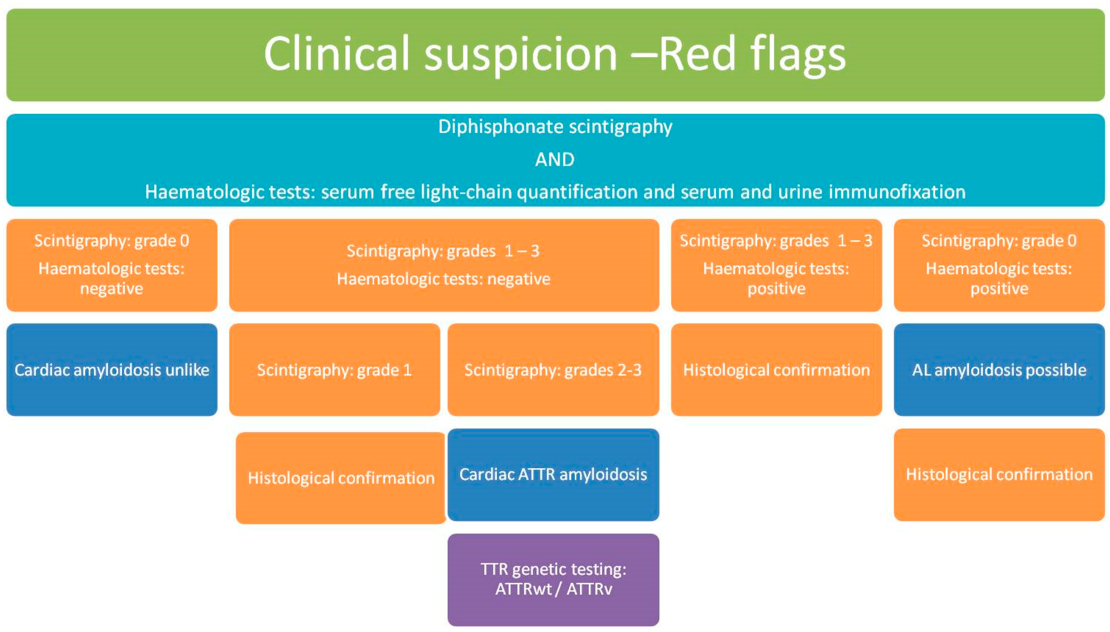 Biomedicines 12 00025 g001