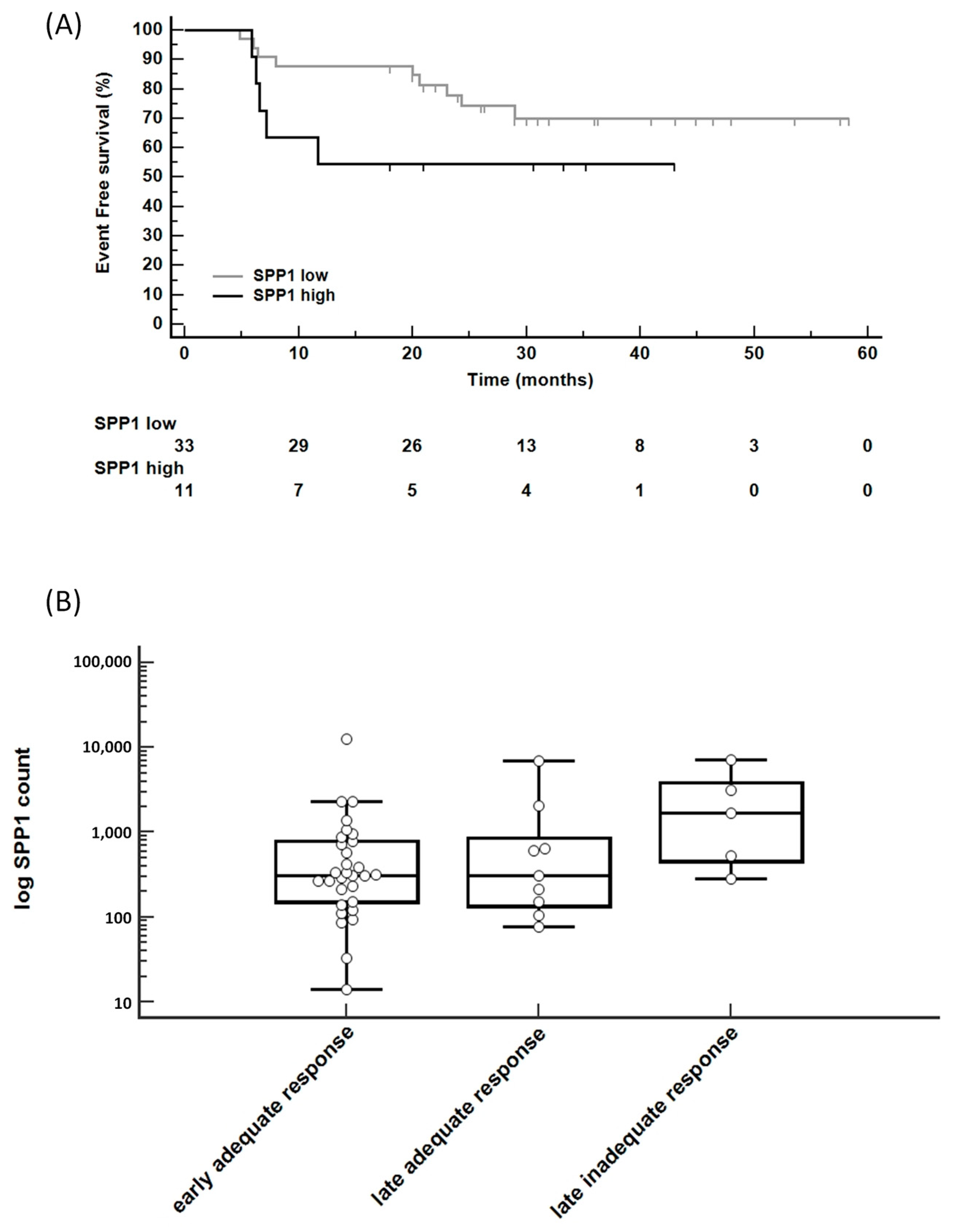 Biomedicines 12 00031 g002