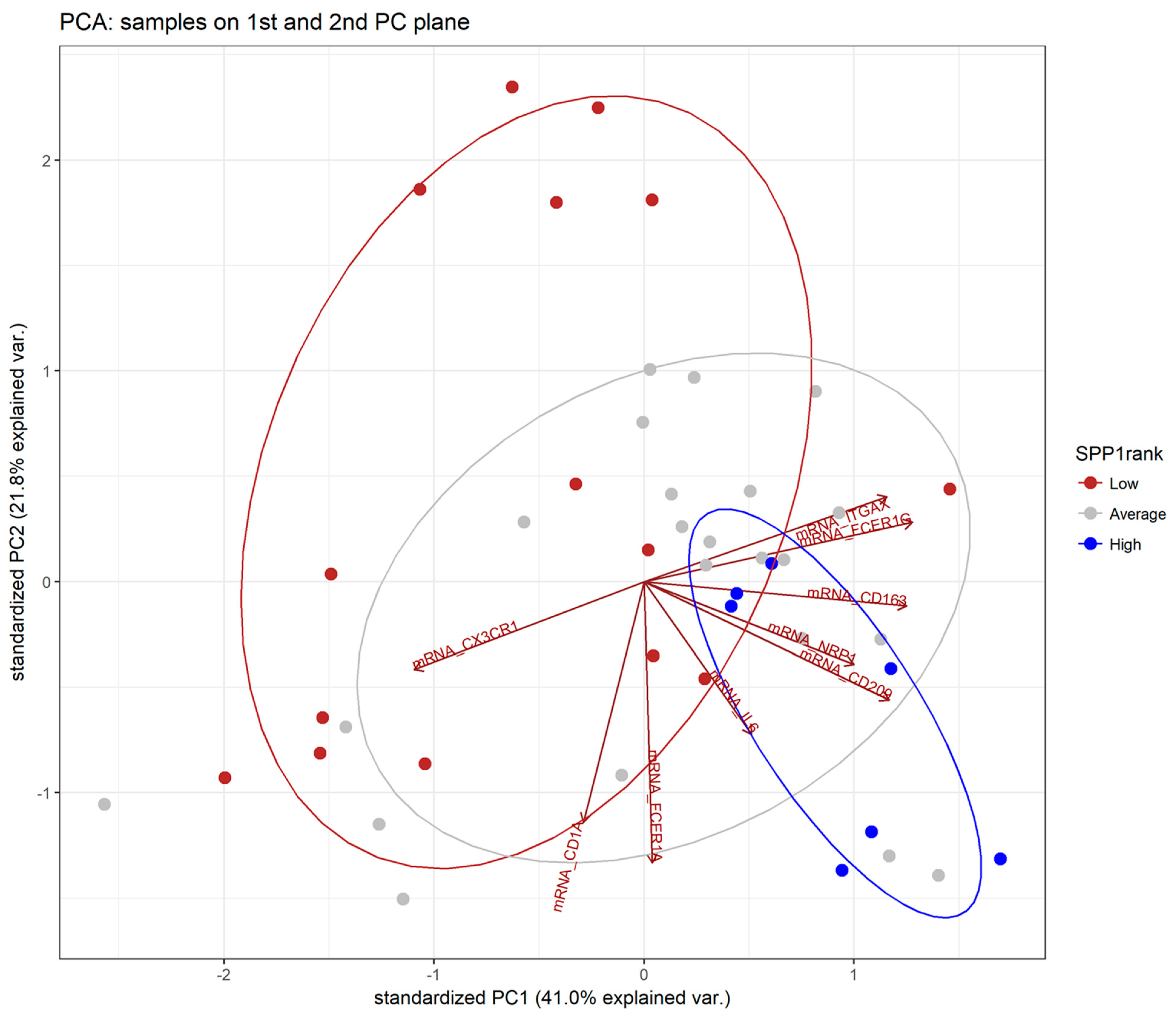 Biomedicines 12 00031 g009