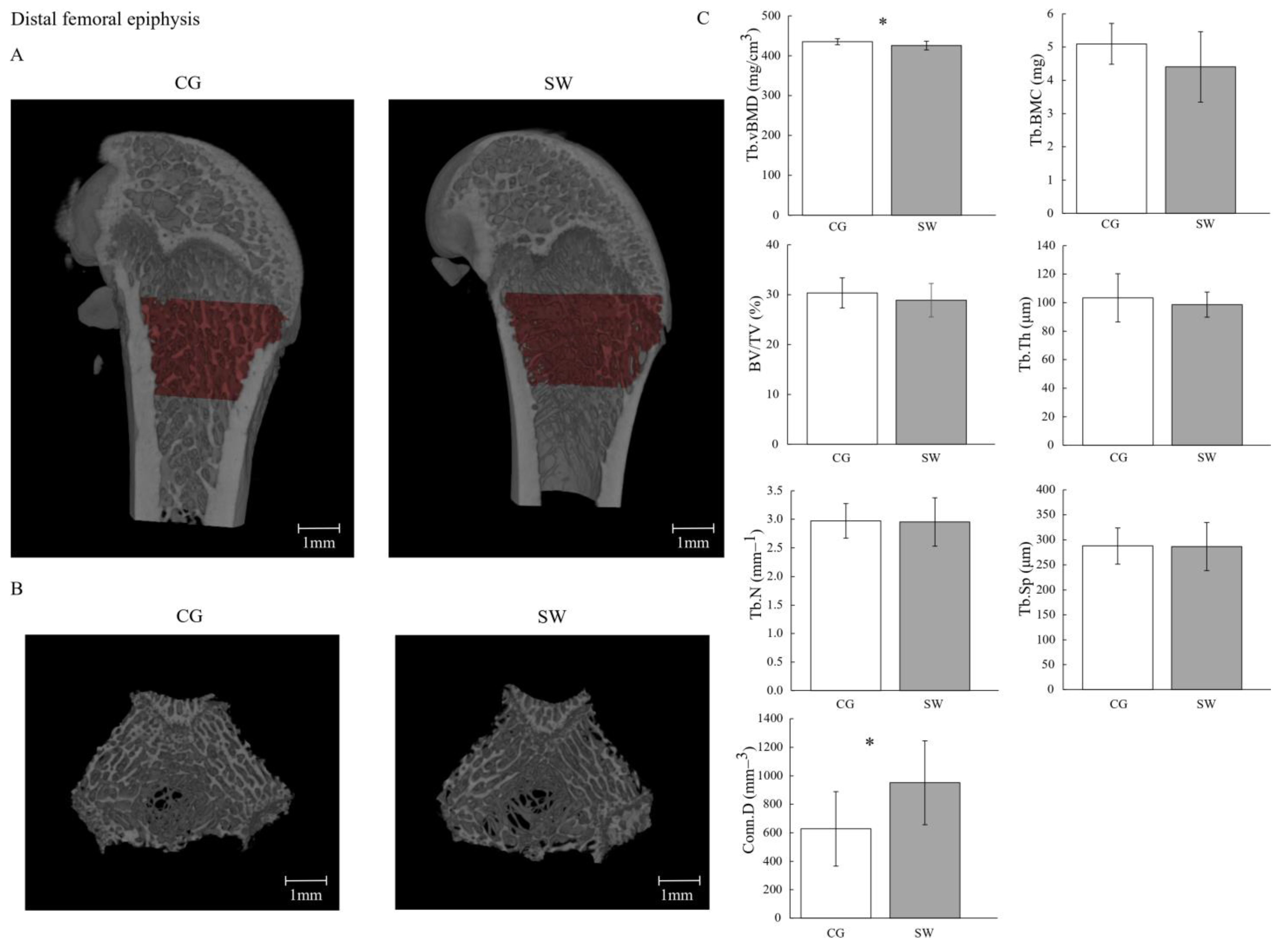 Biomedicines 12 00035 g002 Biomedicines 12 00035 g002