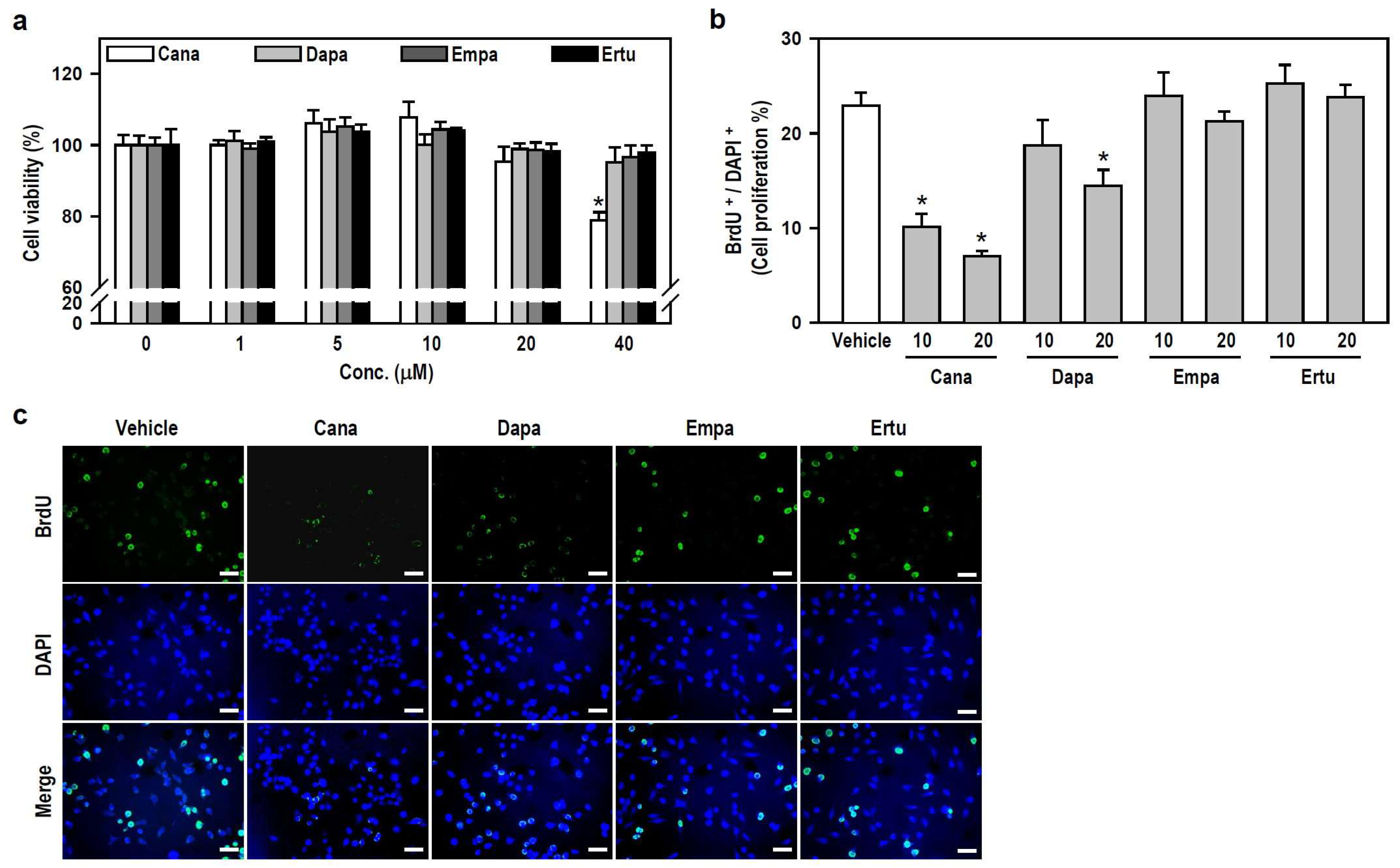 Biomedicines 12 00036 g001 Biomedicines 12 00036 g001
